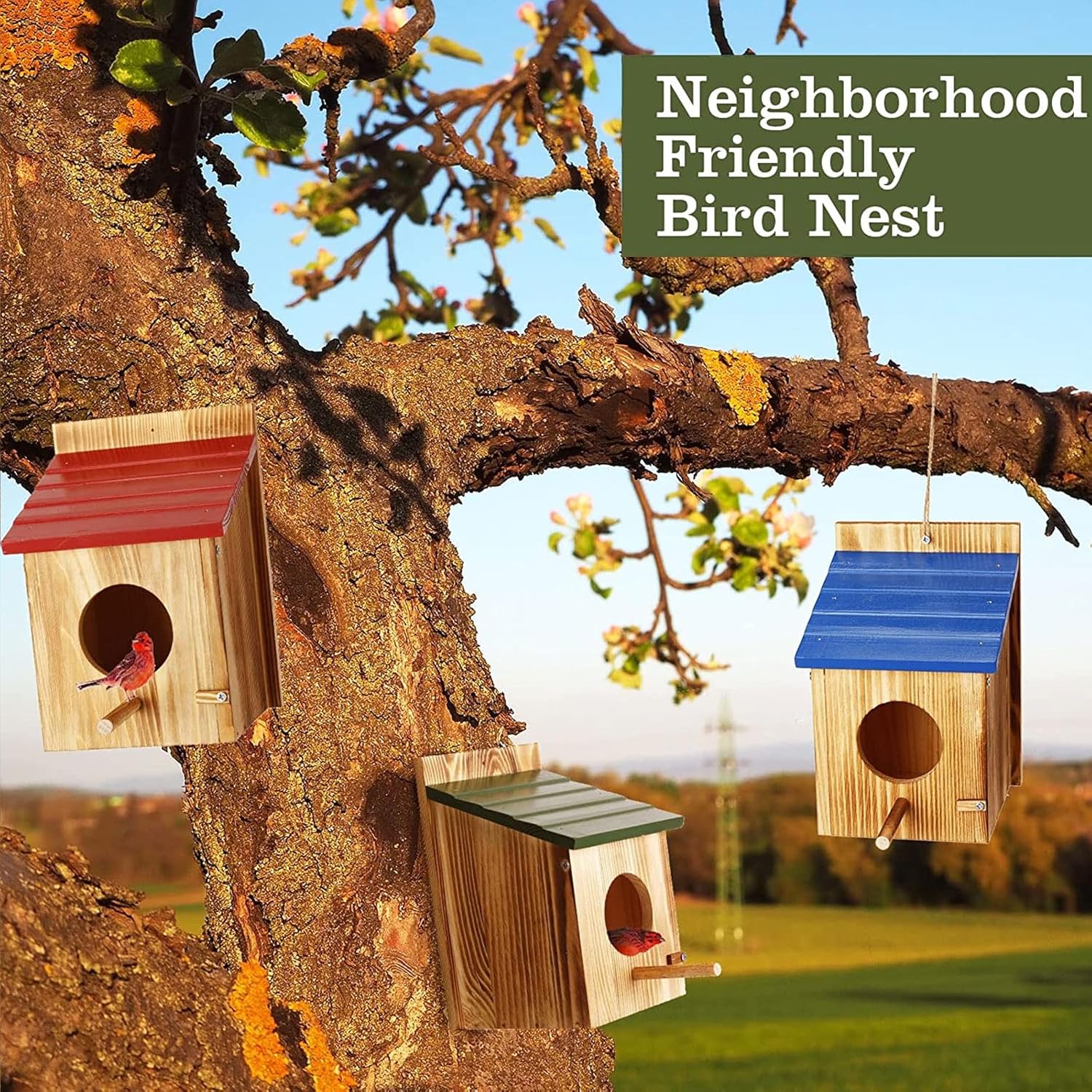 Meanplan 3 Pcs Wooden Bird Houses for Outside Bird House with Pole Woo