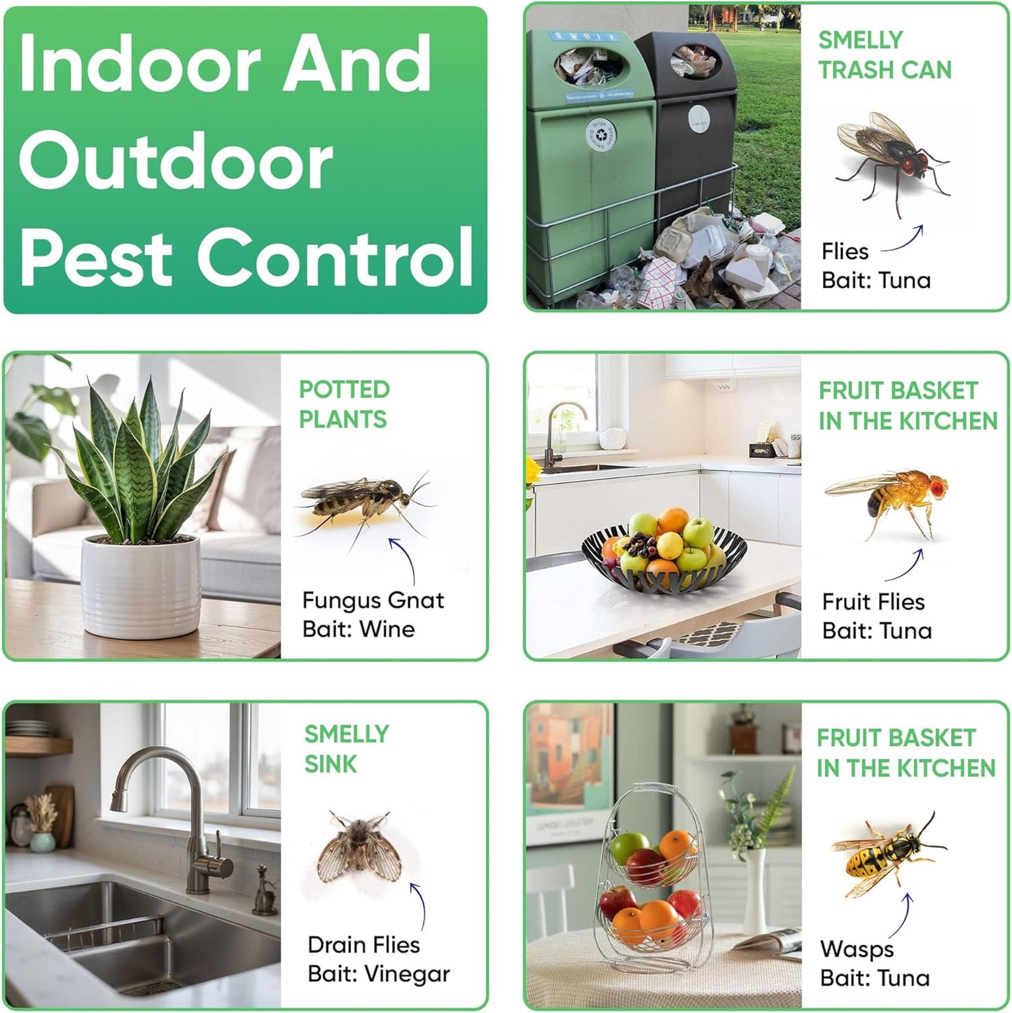 Sticky Fly Trap Indoor & Outdoor Pack of 4 | Hanging Fly Stick for Gna