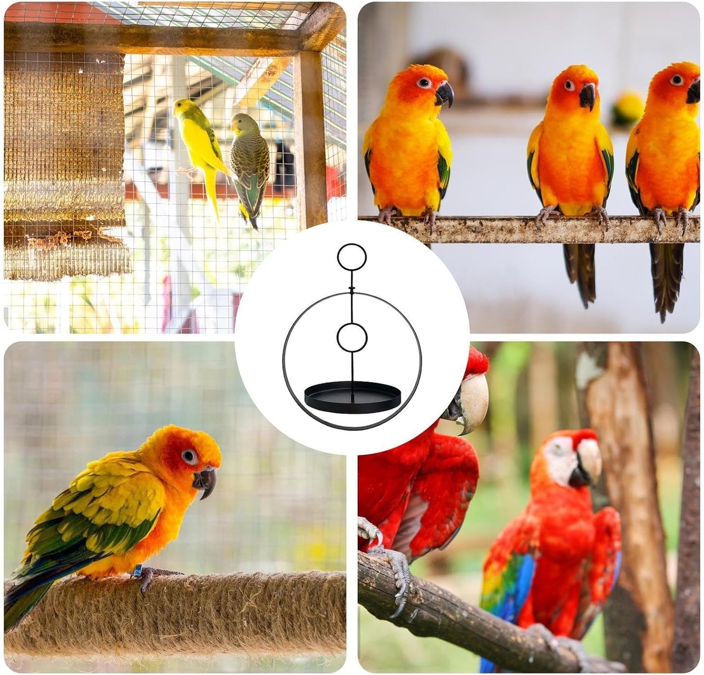 Crow Feeders Outside - Metal Ring Design Weatherproof, Feeding Tray Me