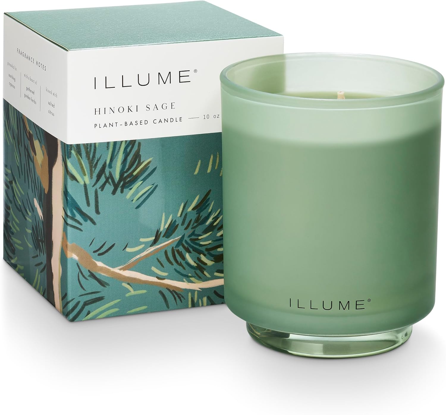 Illume Beautifully Done Essentials Hinoki Sage Boxed Glass Scented Soy
