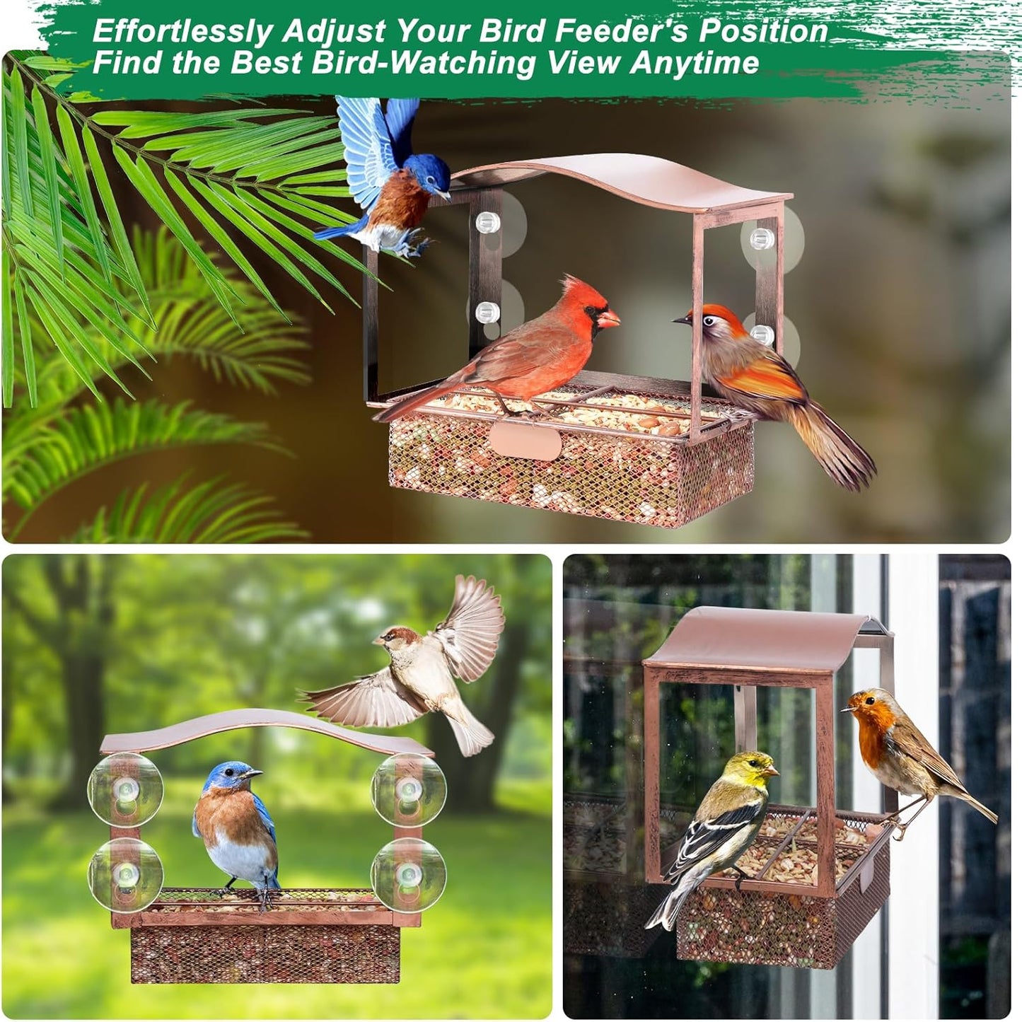 Lilyang Window Bird Feeder, Metal Bird Feeder Window with Wide View, Window Bird Feeders with Strong Suction Cups, Wild Bird Feeders for Bird Watching Presents