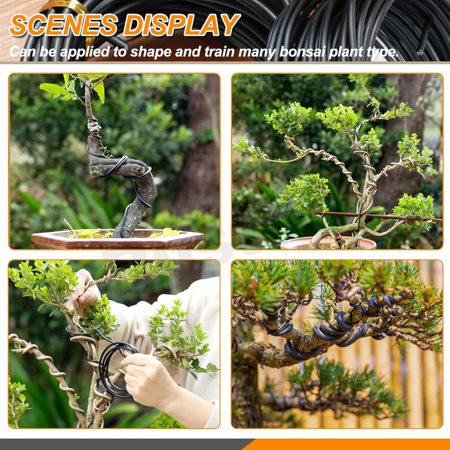 6Pcs 5 Colors Bonsai Training Wire with Wire Cutter Kit, Anodized Aluminum Bonsai Wire Tools for Holding Bonsai Plant Branches Small Trunks - 82 Feet 0.8MM 1.0MM 1.5MM 2.0MM 3.0MM