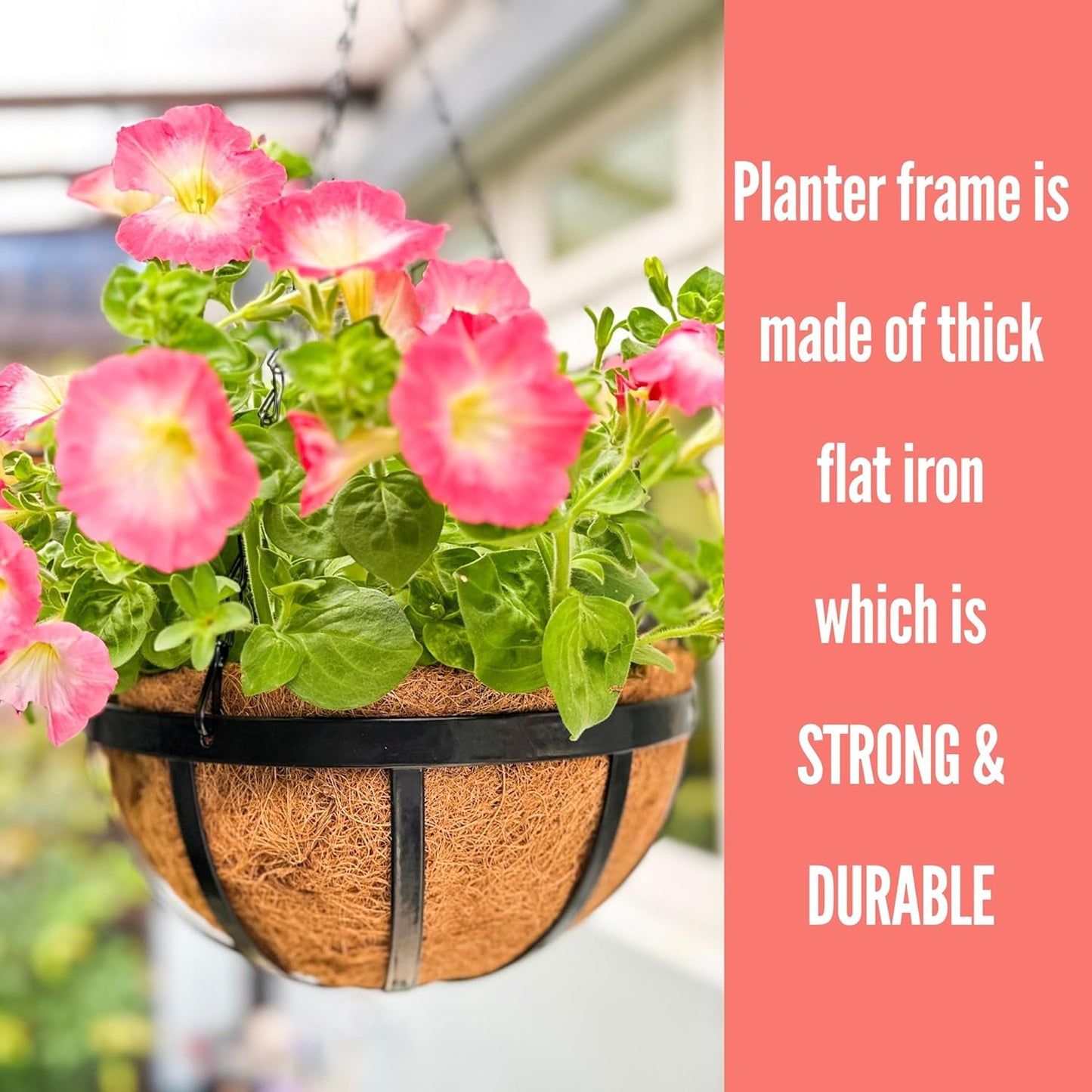 LaLaGreen Outdoor Hanging Baskets for Plants (2 Pack, 12 Inch) Medium Black Hanging Planters with Coco Liner, Metal Flat Iron Flower Pots for Deck Patio Porch Modern Garden Balcony Outside Decoration