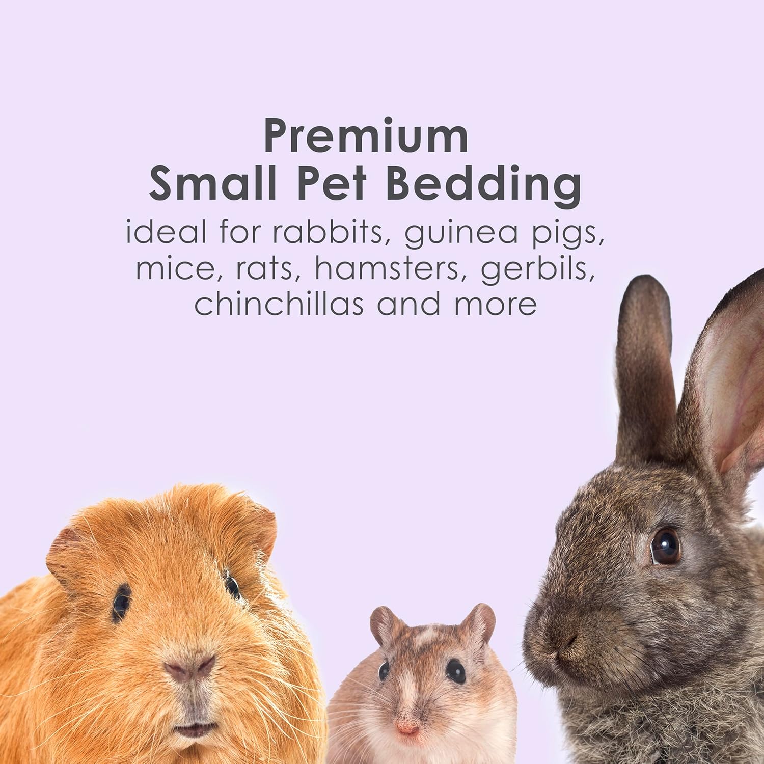 Kaytee Clean & Cozy Lavender Paper Bedding For Pet Guinea Pigs, Rabbit