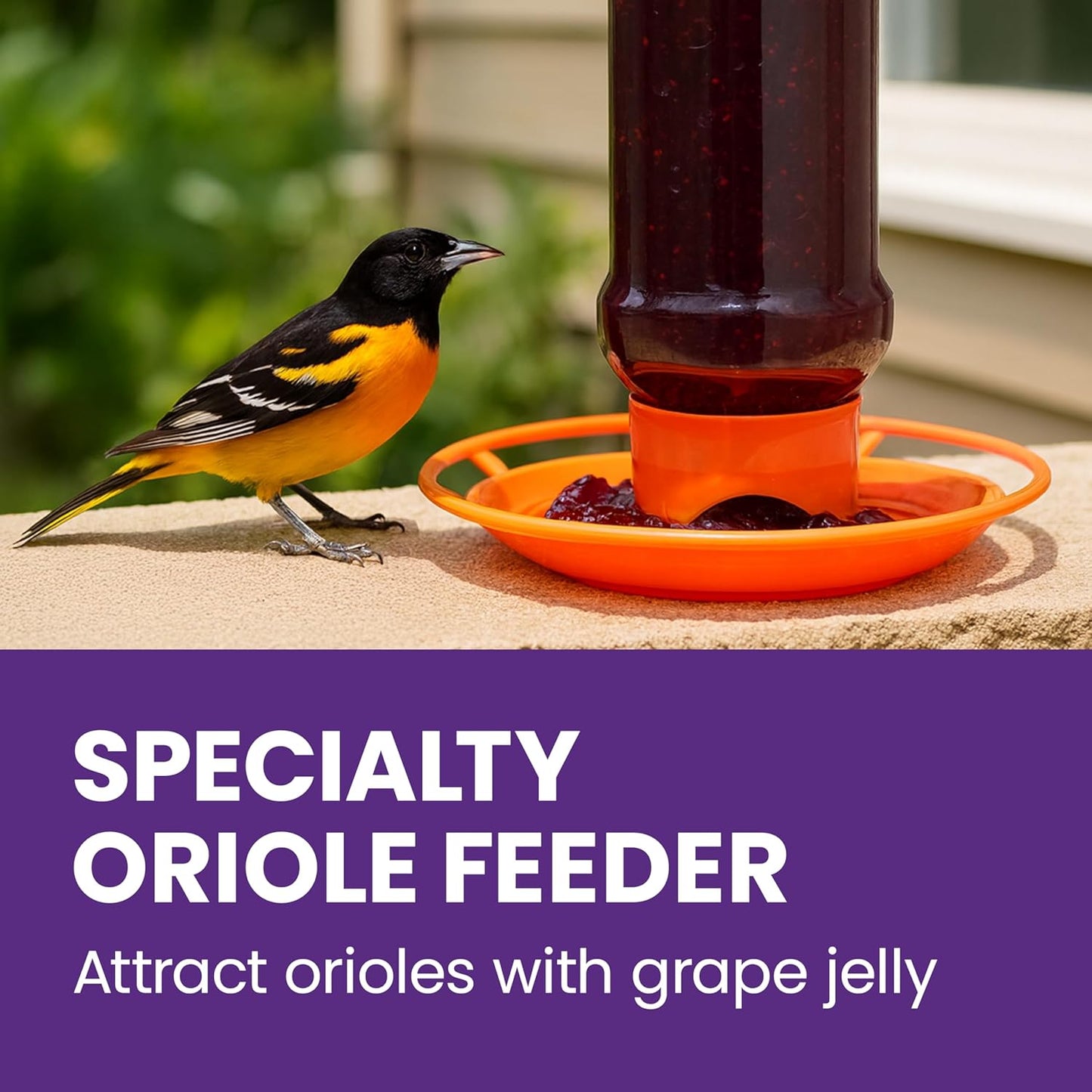 Perky-Pet 253 Wild Oriole Jelly Bird Feeder - 32 Ounce Feeder Capacity