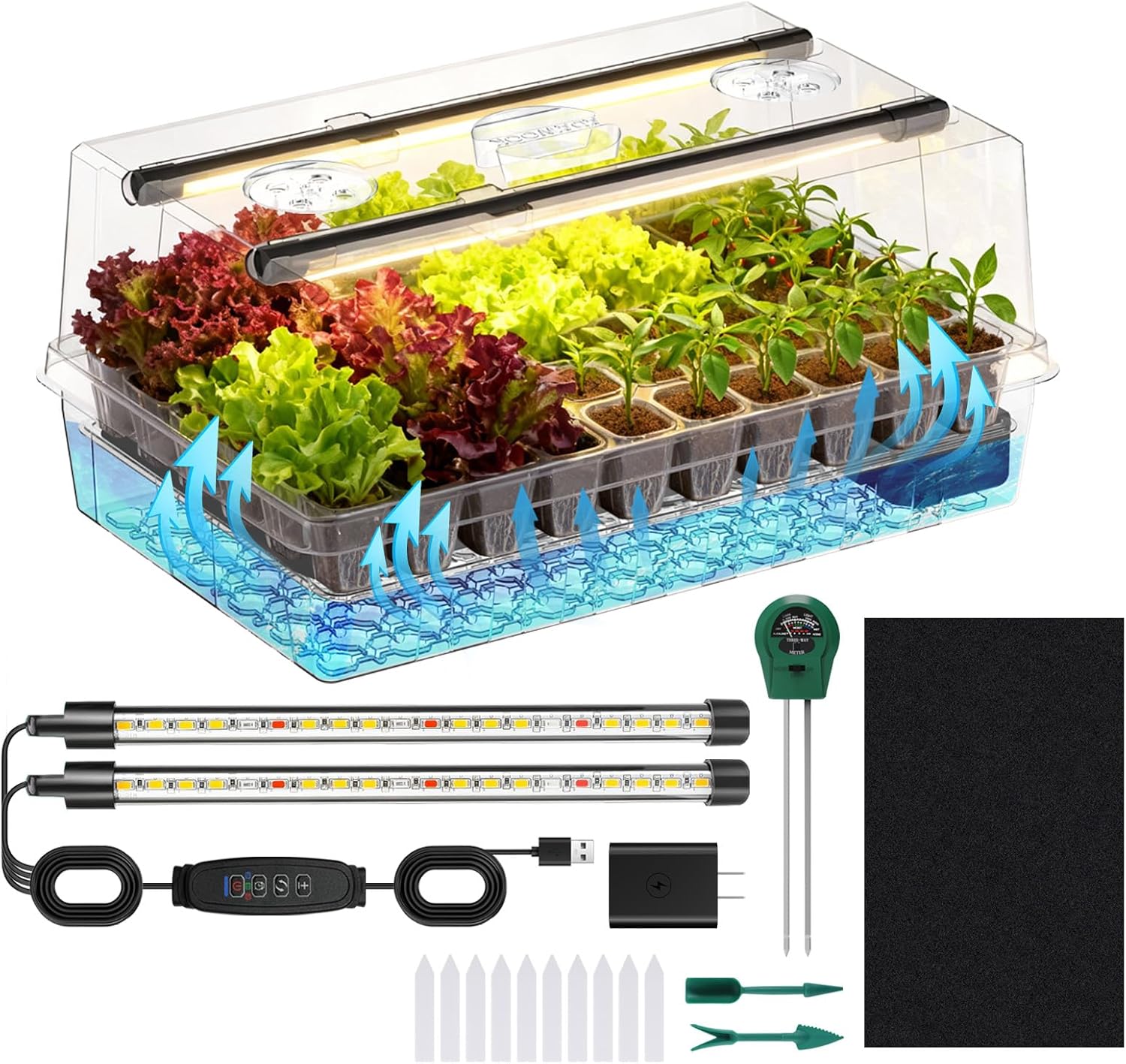 Self-Watering Seed Starter Tray with Grow Lights, 60 Cells Seed Starte