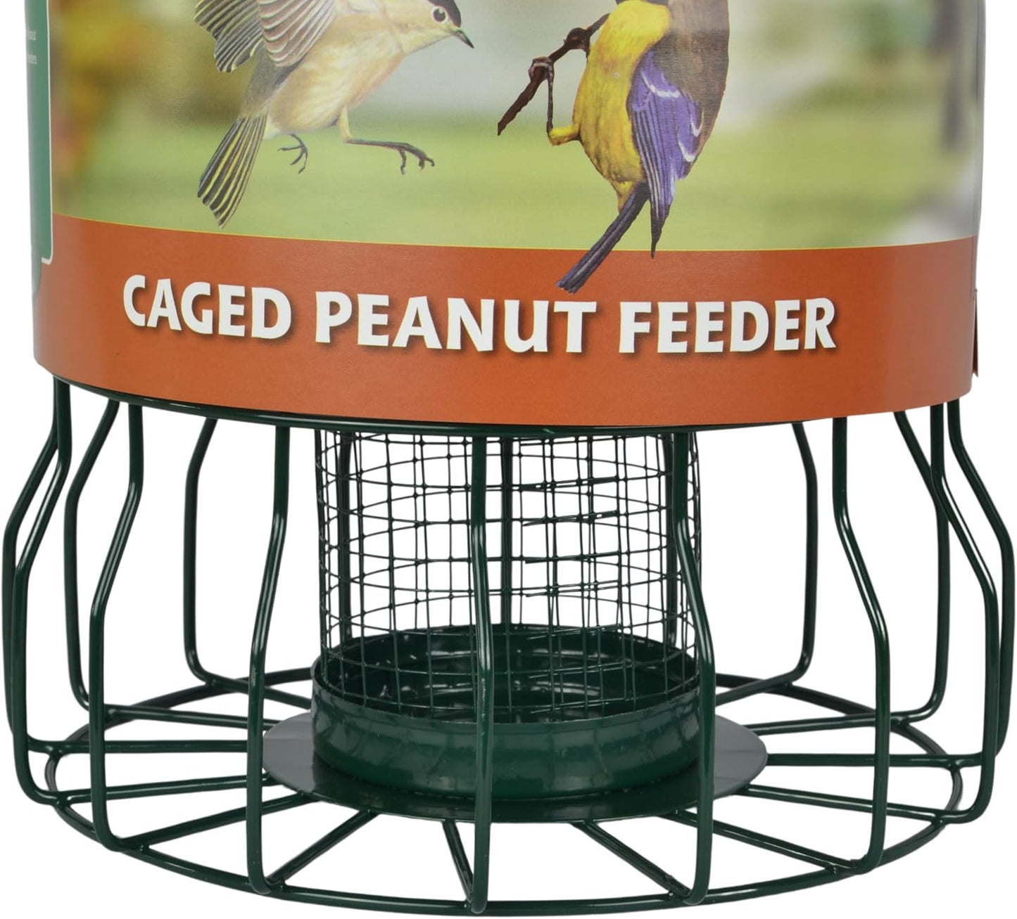 Supa Wild Bird Caged Peanut Feeder, Deters Squirrels and Larger Birds Such As Doves & Pigeons.
