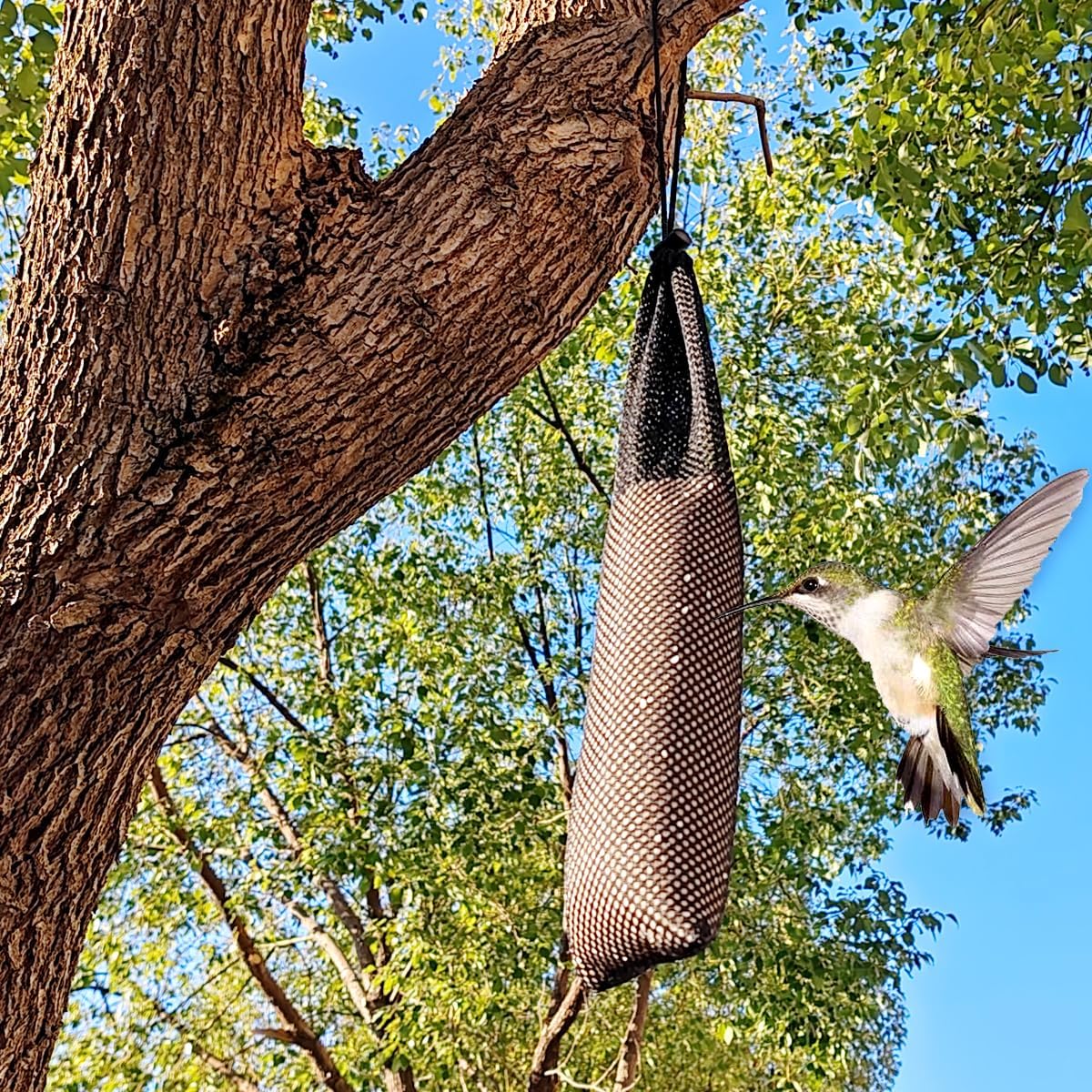 GXXMEI 12PCS 3.9" x 15.7" Finch Sock Feeder for Outdoor, Durable Thistle Seed Feeder Sacks, Wild Bird Food Supply Tools for Garden Yard Wild Finch Feeding