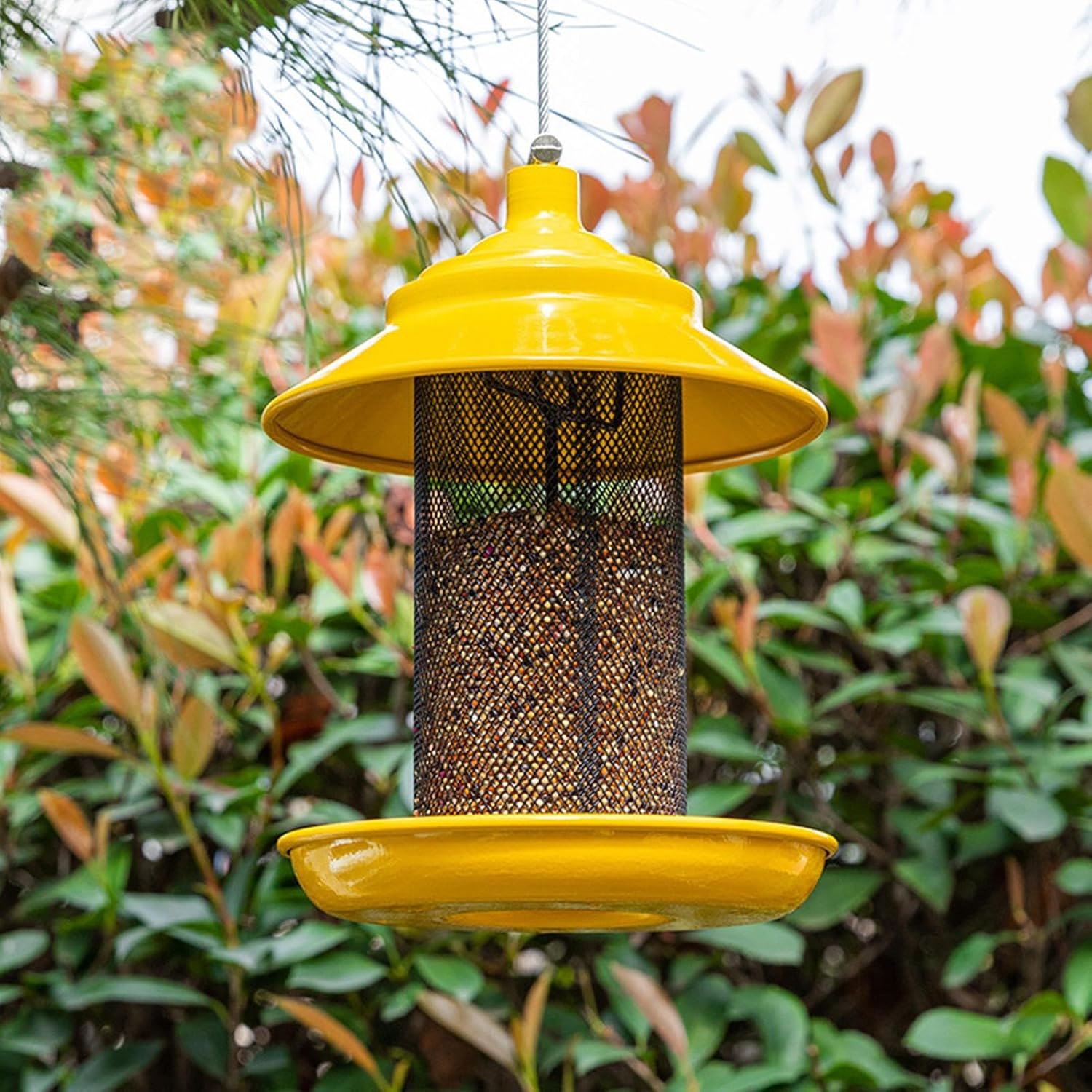 Heavy Duty Finch Feeder, Metal Mesh Feeder, 10 Inch Bird Dispenser wit
