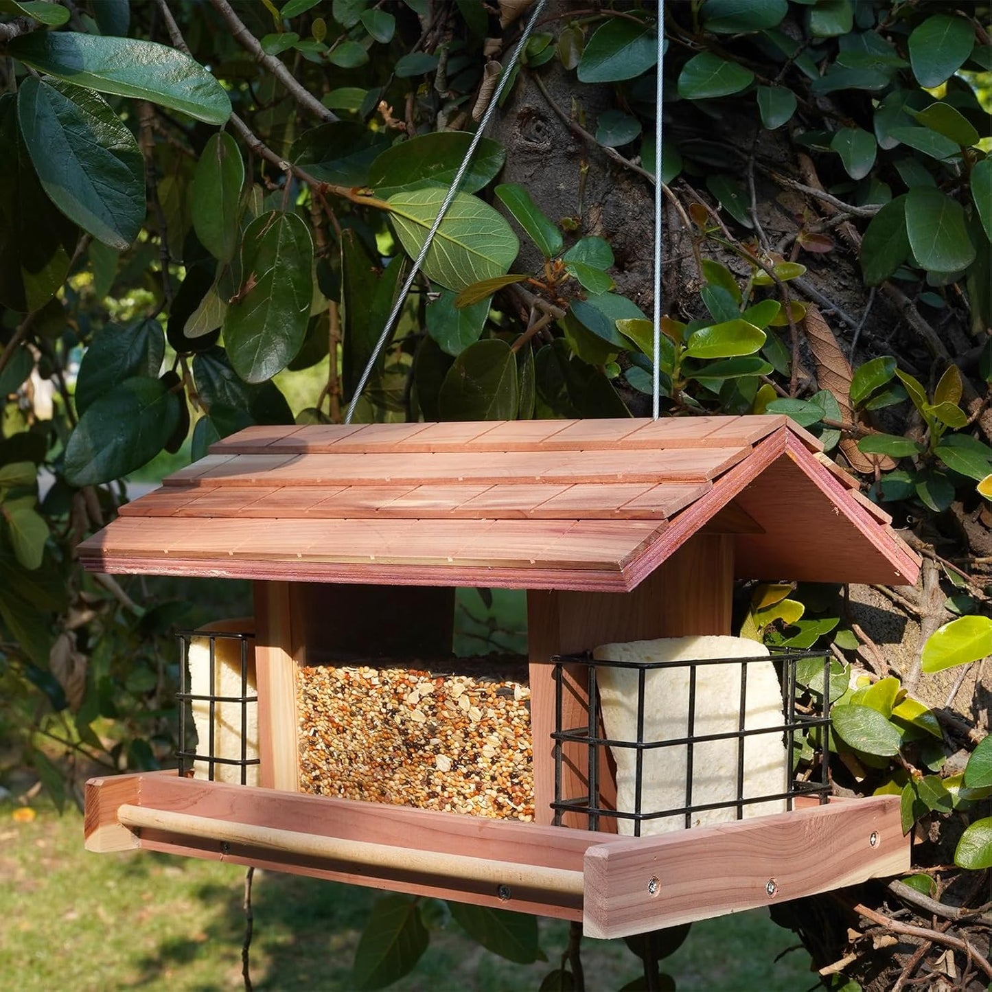Wooden Bird Feeder for Outdoors Hanging Mount Large Capacity, Red Cedar Garden Roof Feeder with 2 Suet Cages, Cardinal Bluebird Birdfeeder for Garden Decoration Yard, Weatherproof Durable