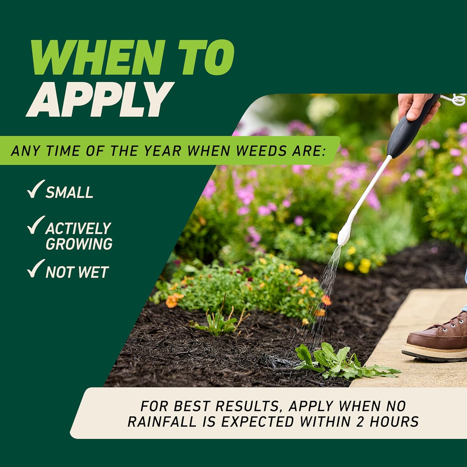 Ortho GroundClear Weed & Grass Killer with Comfort Wand - Kills Dandel