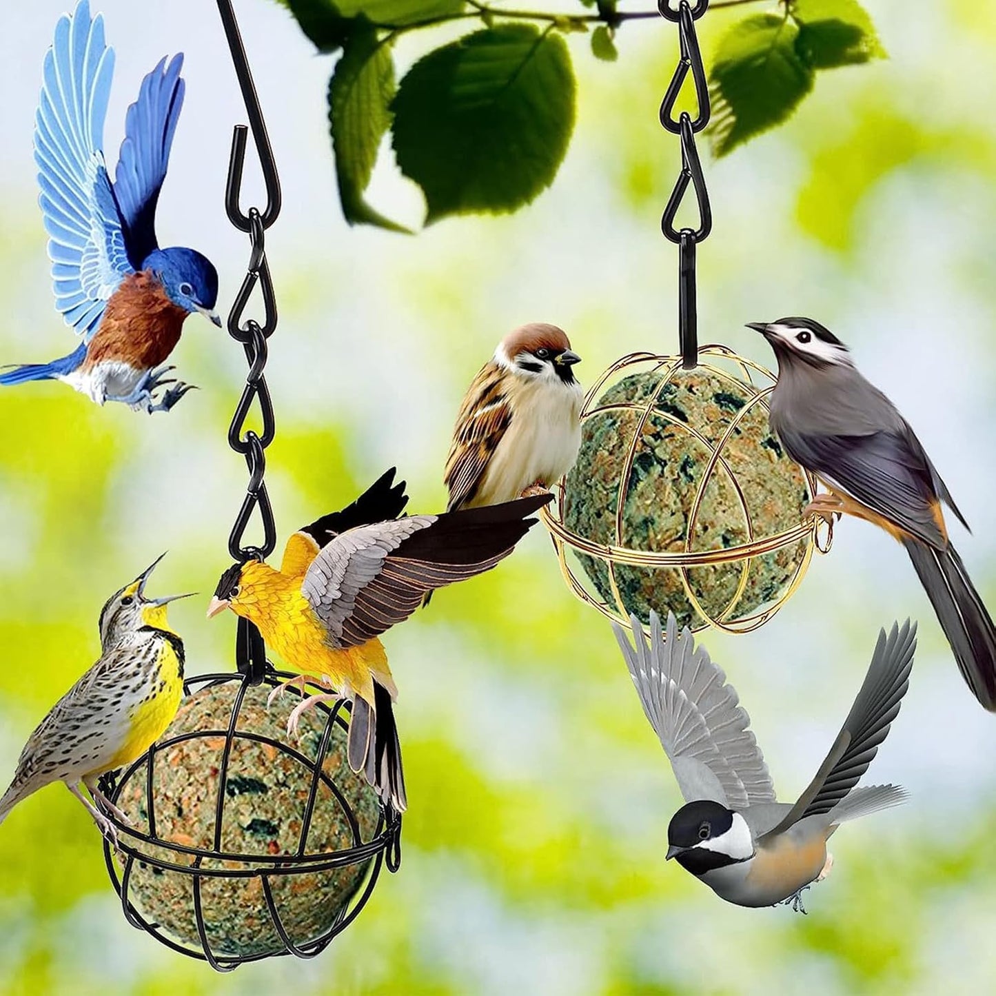Iron Bird Feeder for Outdoor Hanging Large Capacity Wild Bird Feeder S