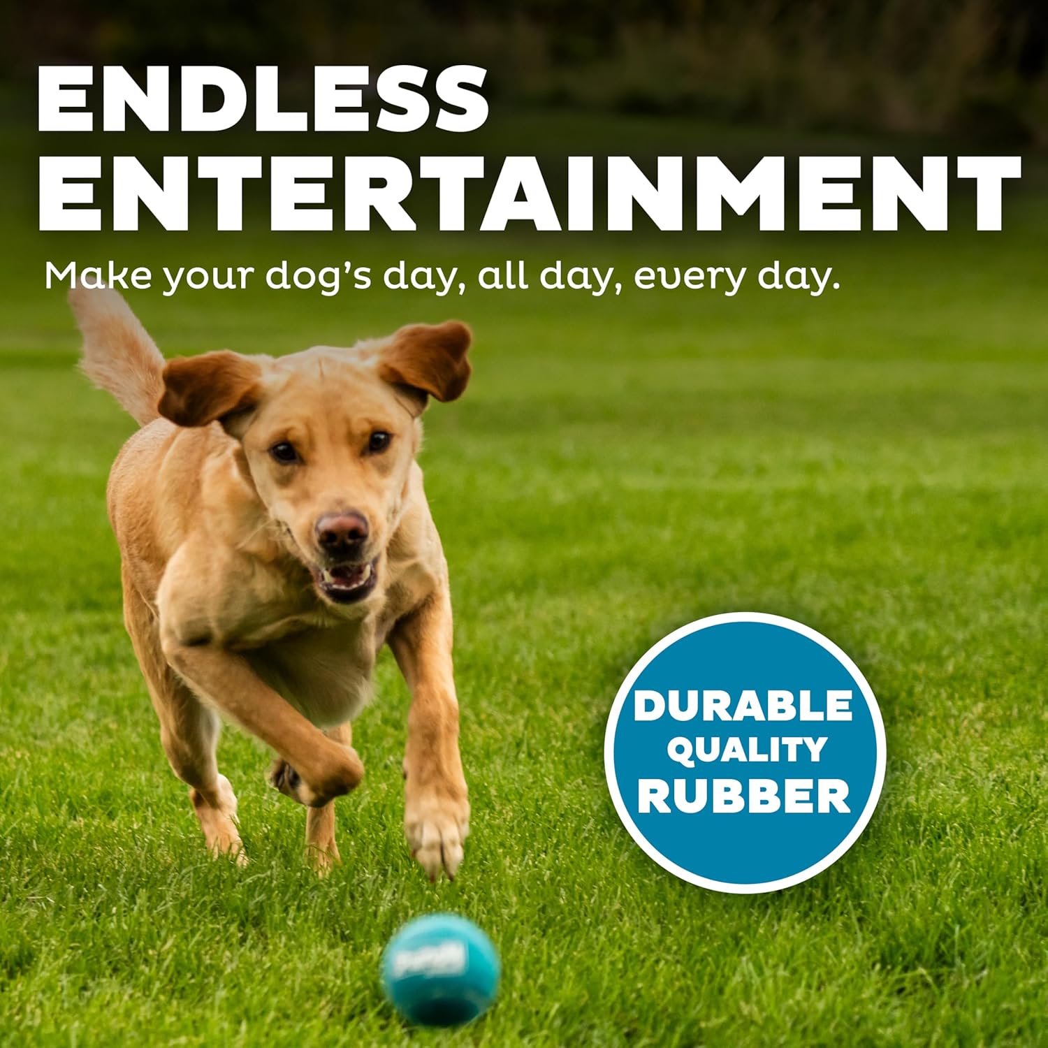 Outward Hound Squeaker Ballz – Squeaky Tennis Balls for Dogs Under 50 