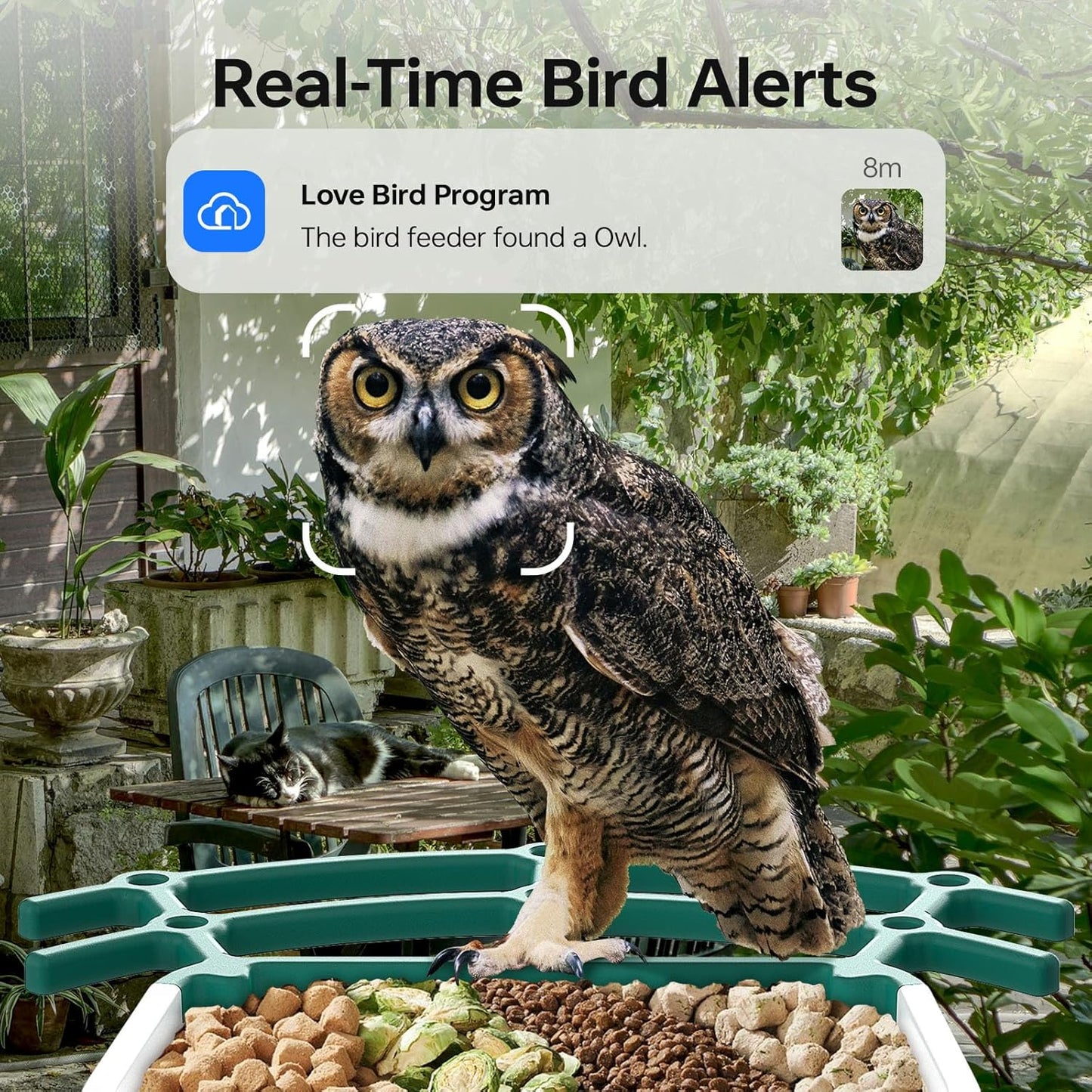 Bird Feeder with Camera,Ai Recognition 10000+ Species,3K Video with Noise Reduction,Solar Powered Bird House for Outdoors Bird Watching