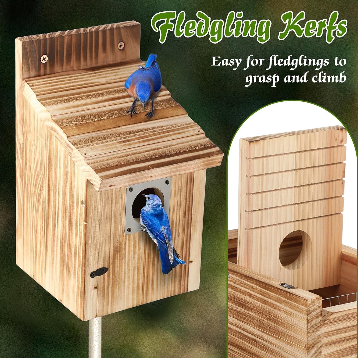 Dreyoo 2 Pack Cedar Bluebird Box Houses for Outside, 1-1/2” Entrance Hole Wooden Bird Houses with Metal Predator Guard, Secure Latch, Fledgling Grooves, Air Vents for Bluebird Wren Swallow Finch