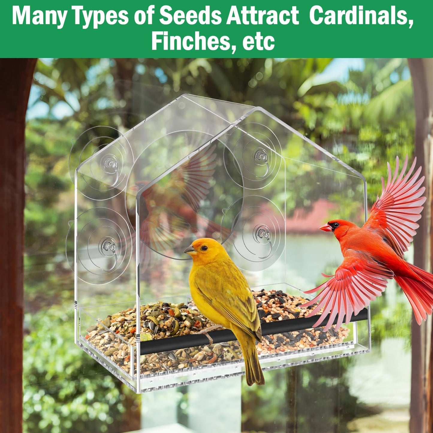 Window Bird Feeder with Strong Suction Cups for Outdoors, Clear Bird Feeder for Window Viewing, Easy to Refill and Clean, Ideal Gift for Parents.(Clear)