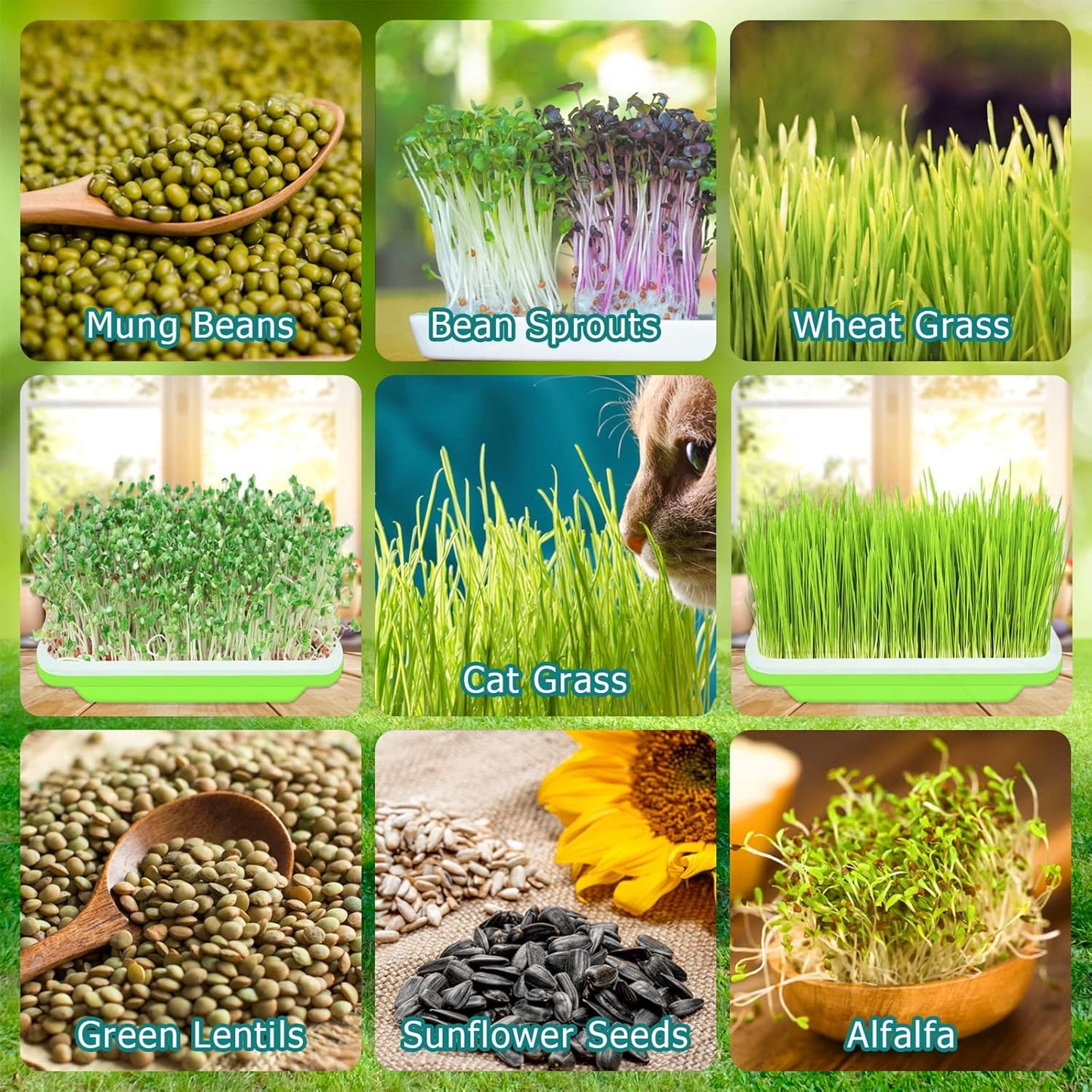 Legigo 10 Pack Green Seed Sprouter Trays- Soil-Free Cultivation Germin