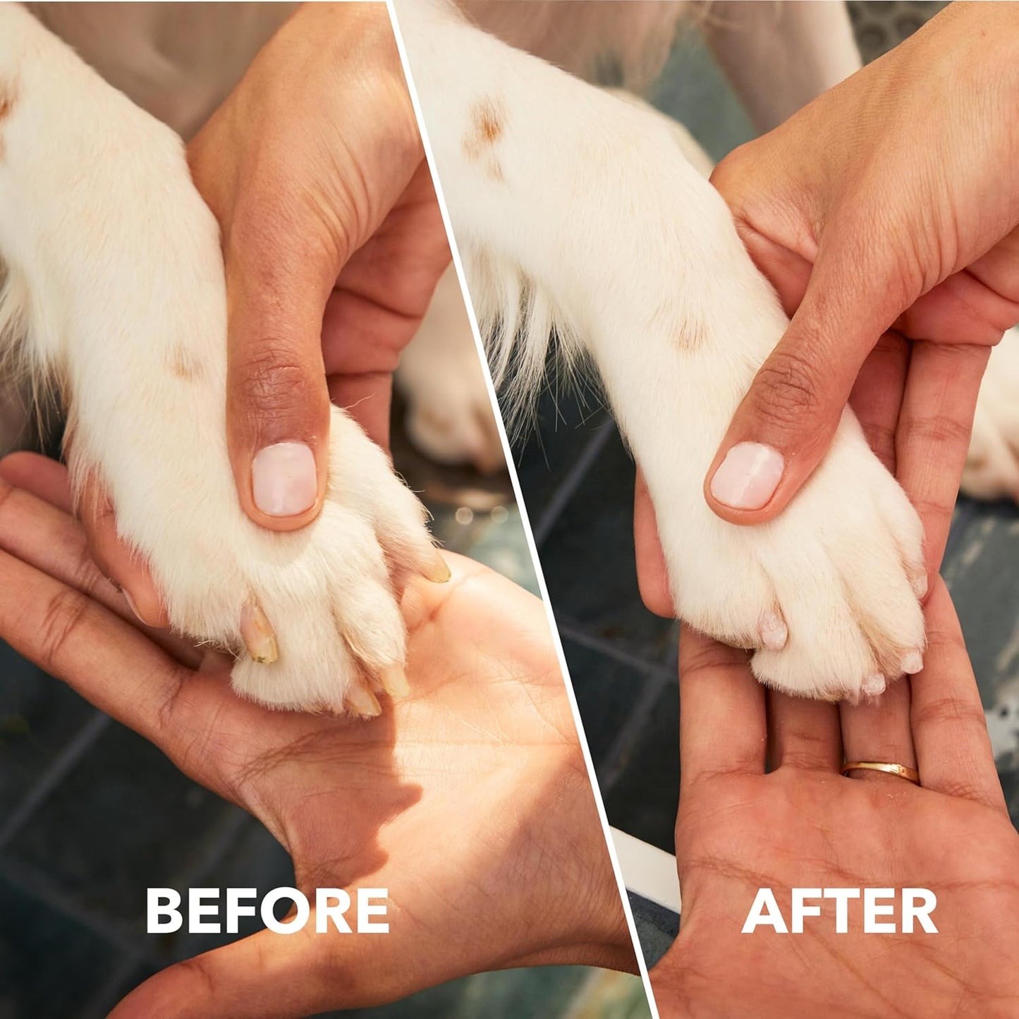 Dremel PawControl 7760-PET Dog Nail Grinder and Trimmer - Cordless & R