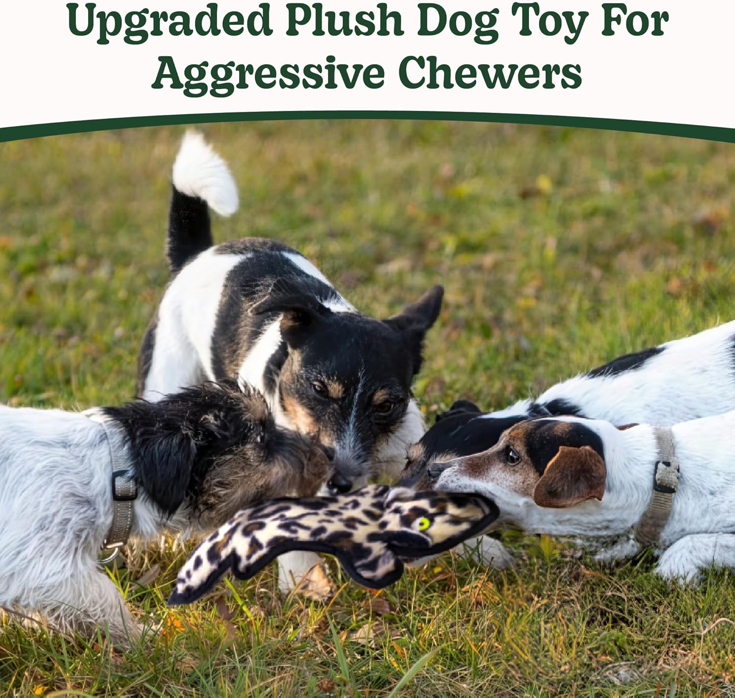 SHARLOVY No Stuffing Dog Toys Crinkle Squeaky, Long Lasting Chews for 