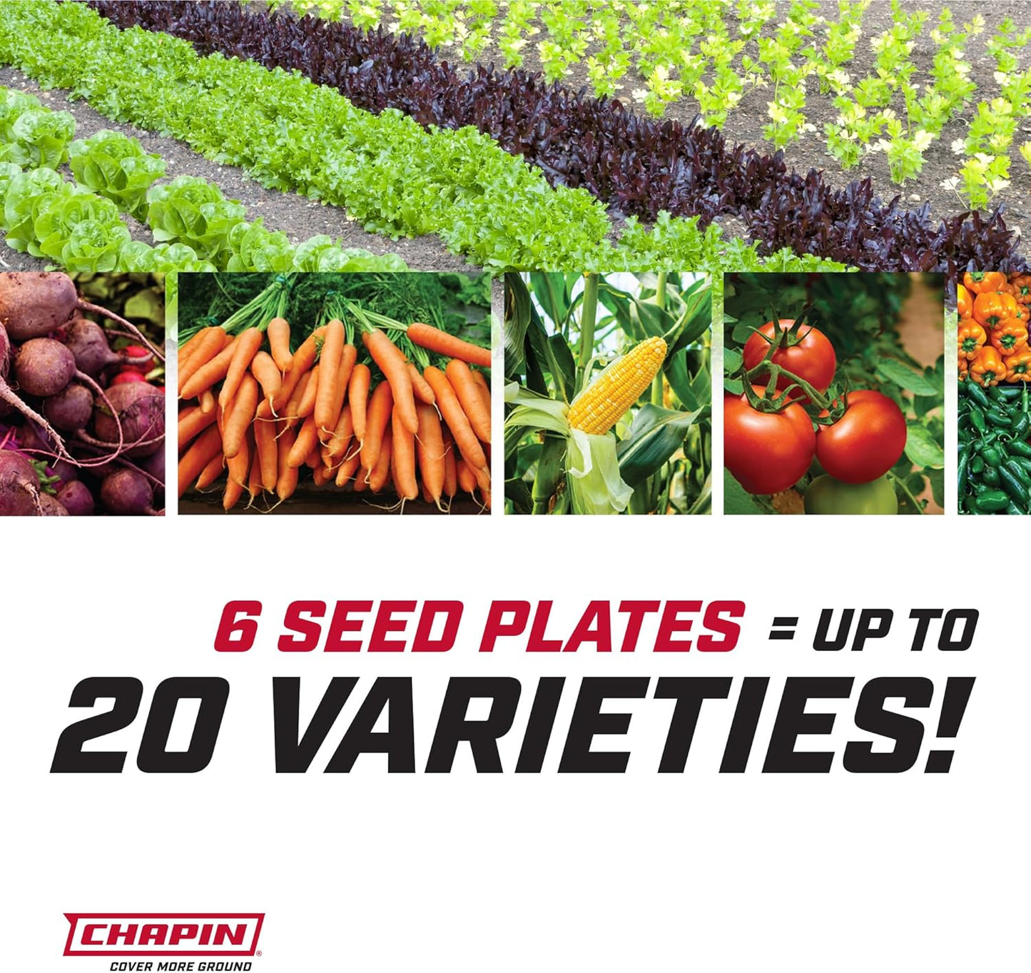 Chapin 8701B Garden Push Seeder Planter with 6 Seed Plates for up to 2