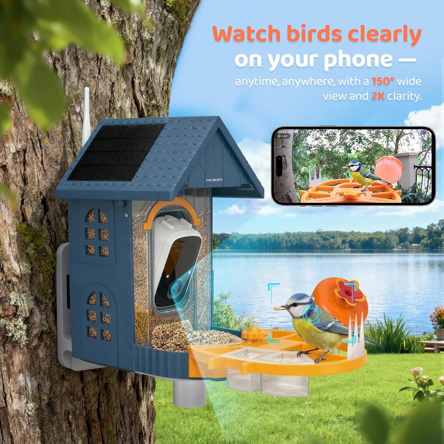 Smart Bird Feeder with Camera Outdoor Birdhouse:AI Identifies 11000+ S
