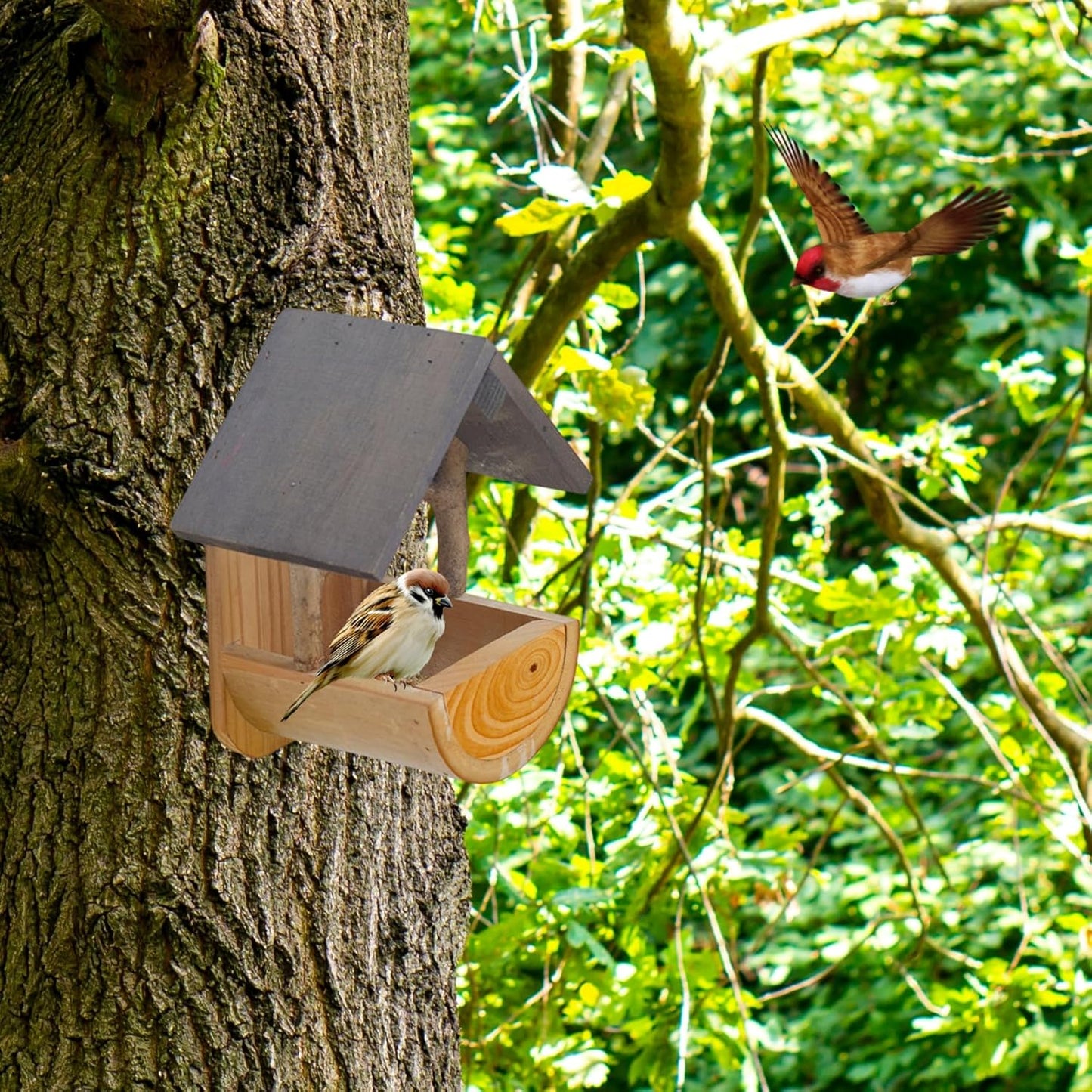 Bird Feeders Hanging Bird Feeder, Wooden Feeder with Wide Perch Tray for Outdoors, Creative Garden Decor and Supplies for Small Wild Birds