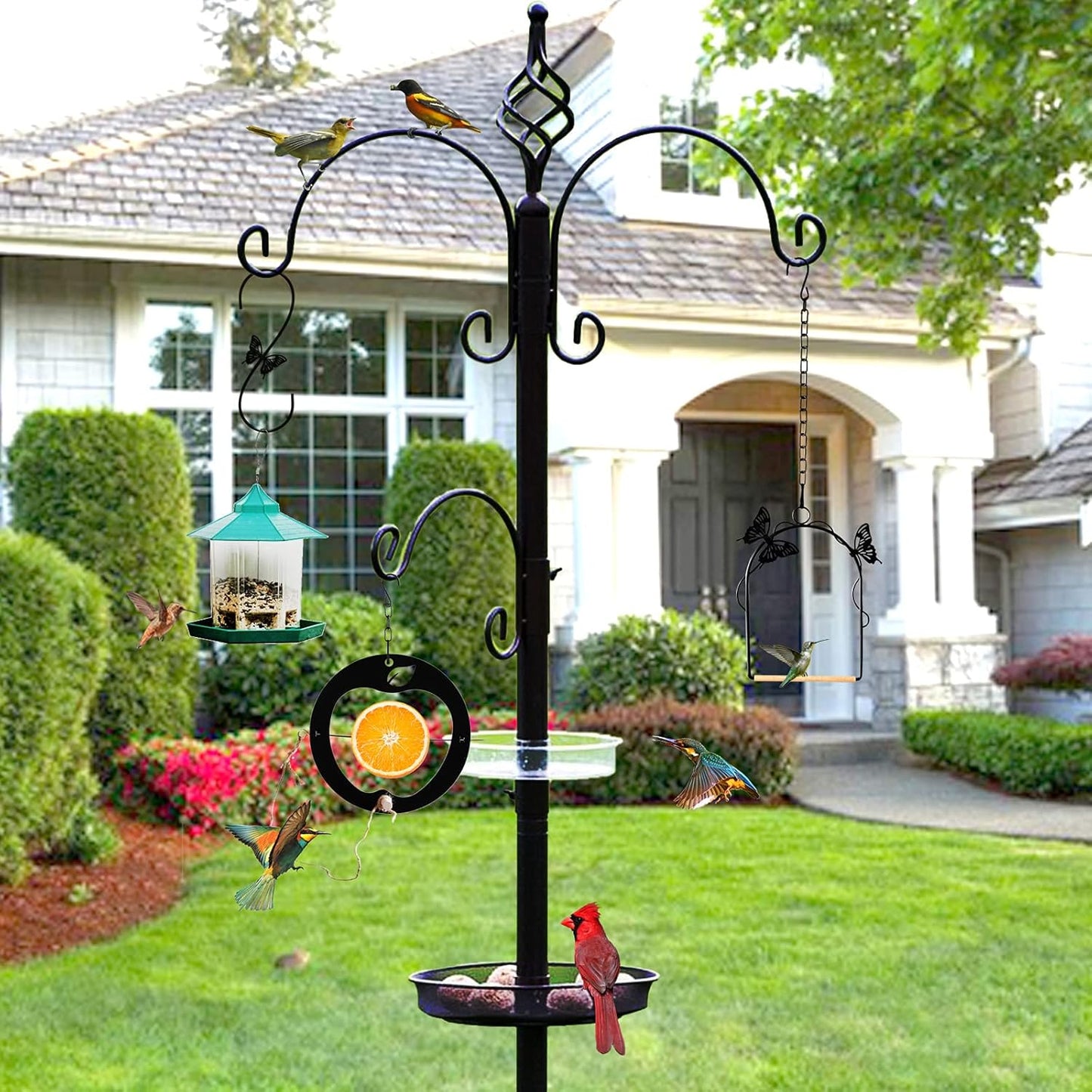 Hummingbird Swing 2 Pack Attractive Hummingbird Perch with Rust Resist