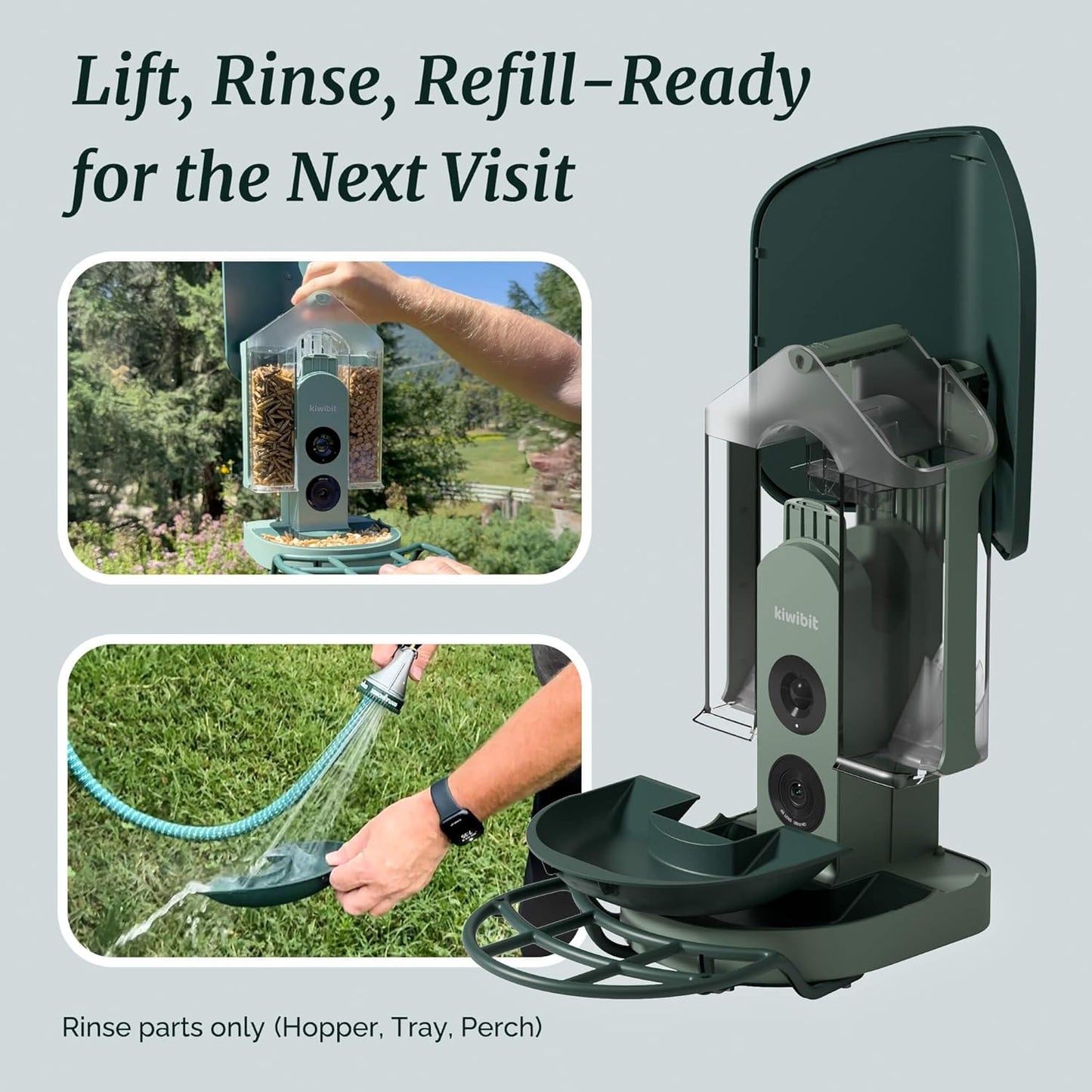 Smart Bird Feeder 4K AI Camera With Solar Panel For Outdoors, Bird Species Identification, 8MP Photos, 4K Video Livestream, Real-Time Bird Alerts, Birdwatching Gifts For Bird Lovers, Sage Pine