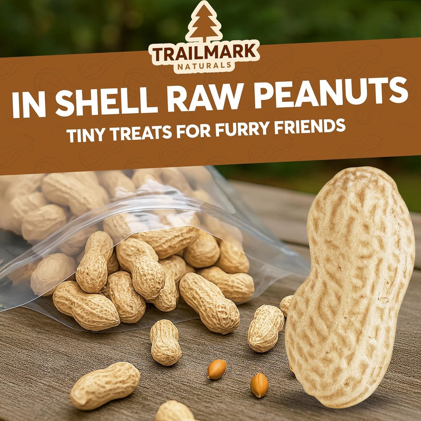 8 LB - Raw Peanuts For Squirrels, Raw In Shell Peanuts For Birds and Wildlife- Squirrel Food, Wild Bird Seed - Grown in The USA