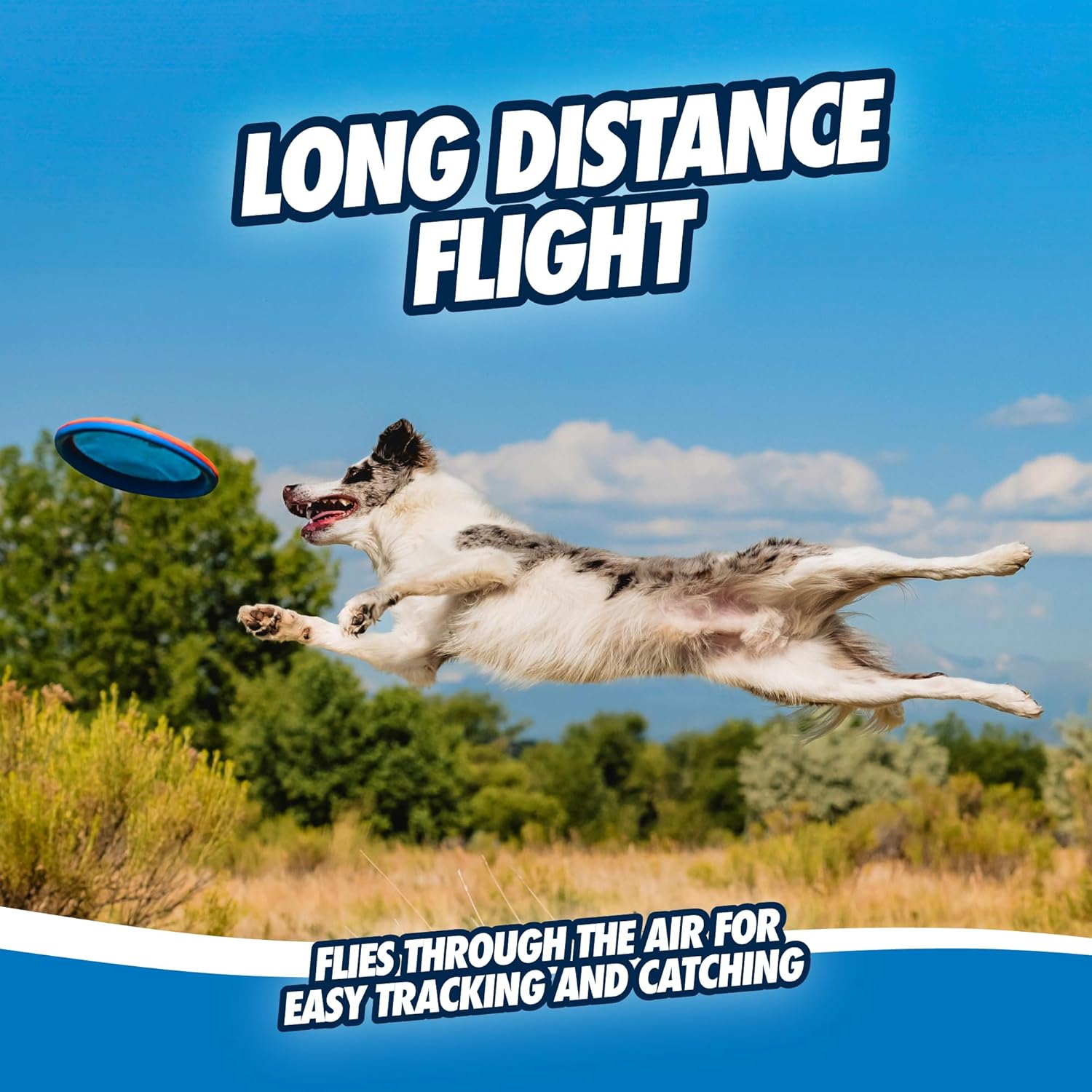 Chuckit! Paraflight Flying Disc Dog Toy - Water Floating Flyer - Durab