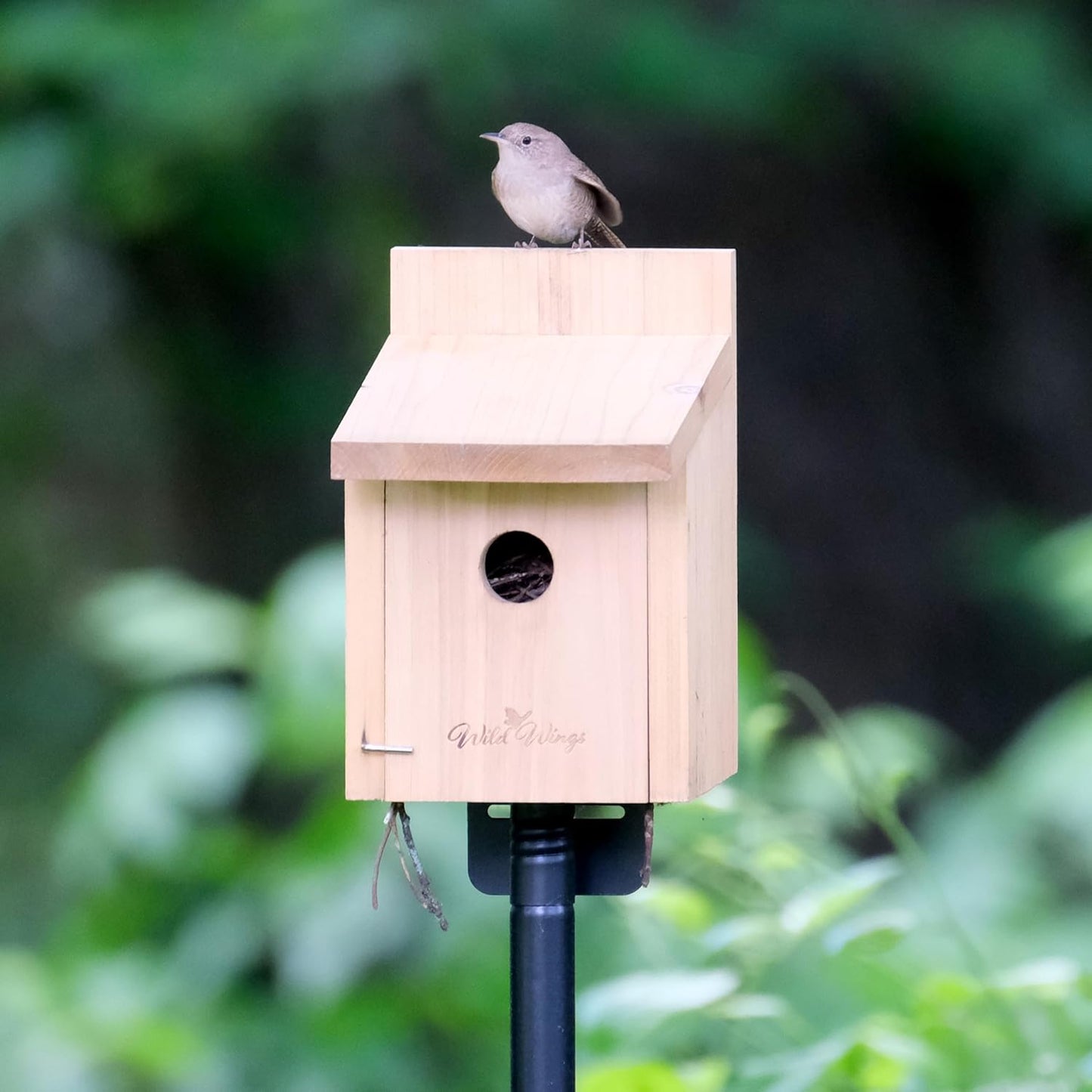 Nature's Way Cedar Box Wren House with Clean-Out Door, Wild Bird House and Outdoor Décor, Brown