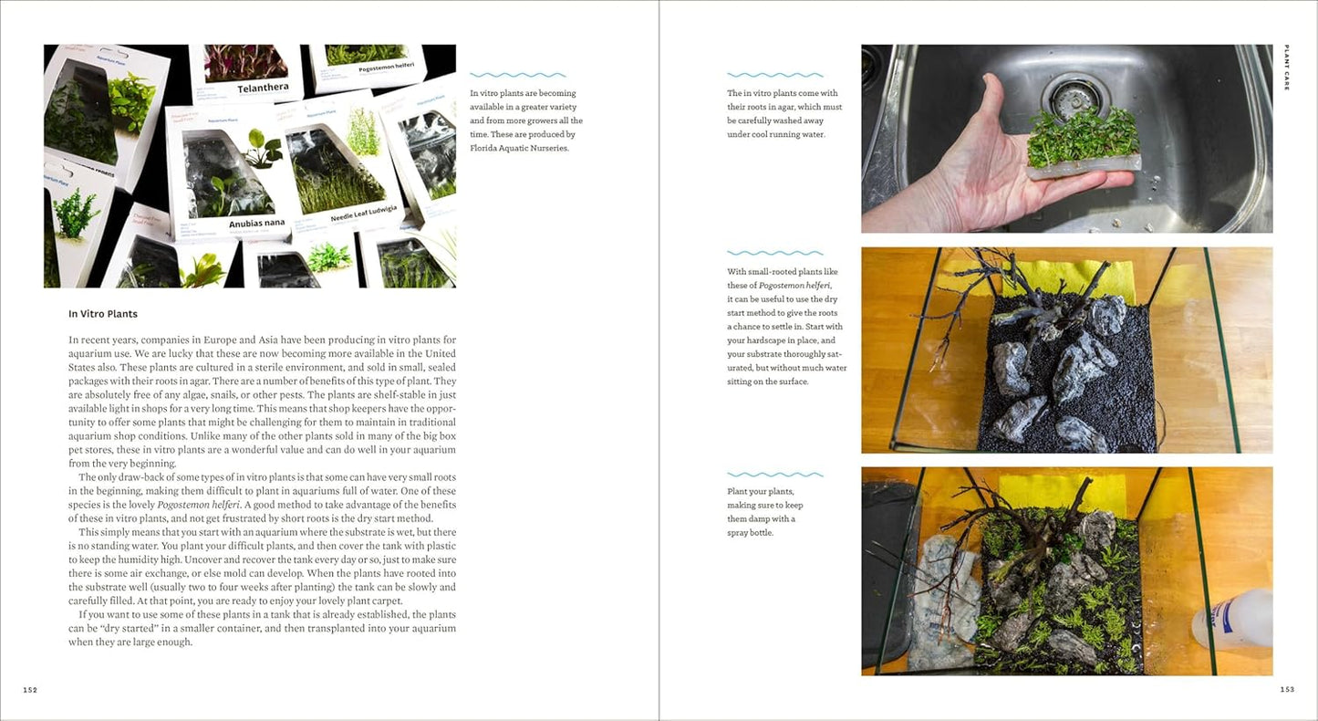 Sunken Gardens: A Step-by-Step Guide to Planting Freshwater Aquariums