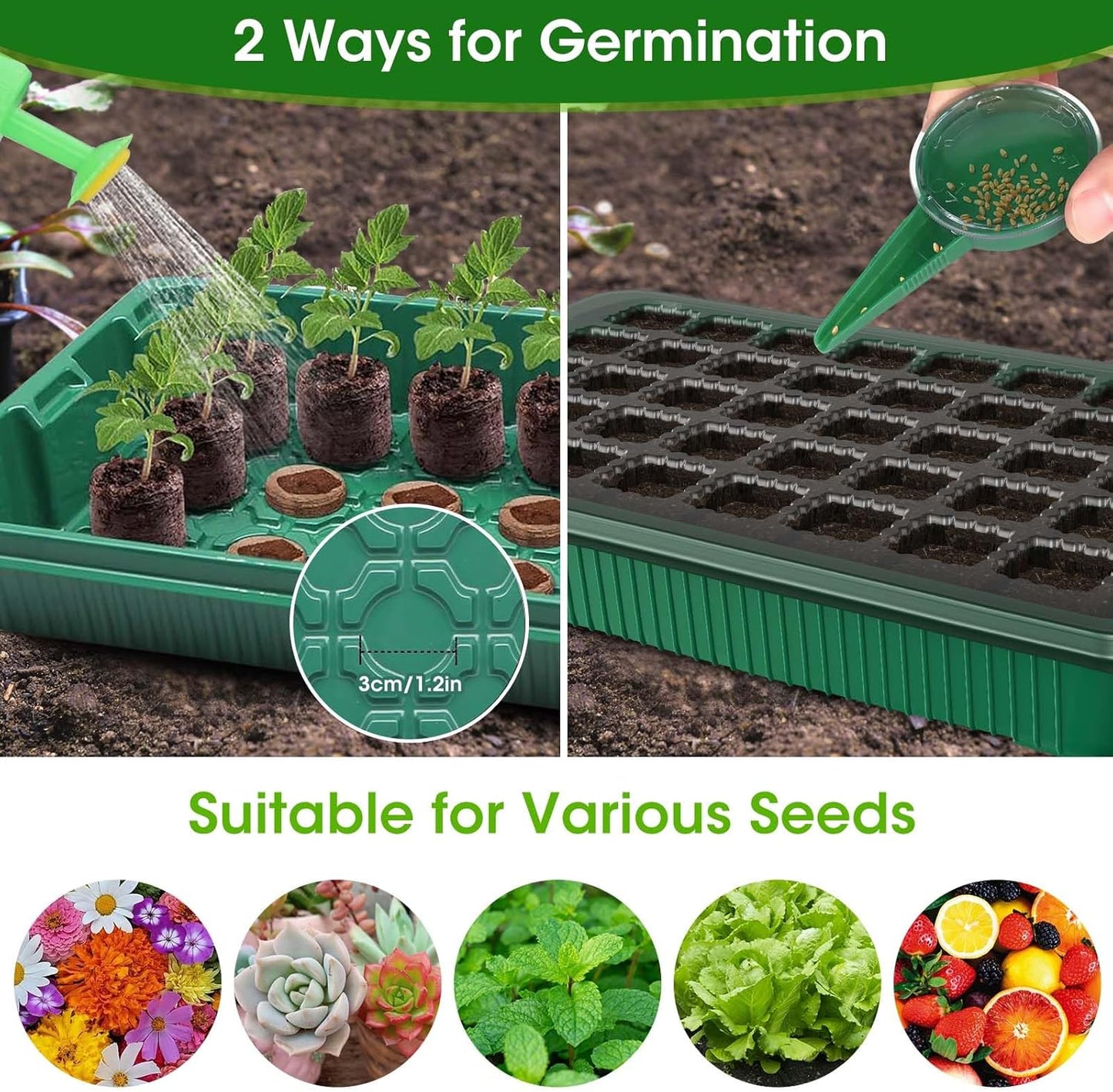 MQUPIN 80-Cell Seed Starter Tray with Grow Light, 2-Pack Adjustable Br