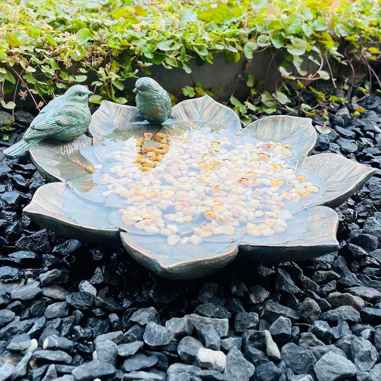Bird Feeder Wild Bath Bowl Outdoors Antique Outdoor Garden Bird Bath R