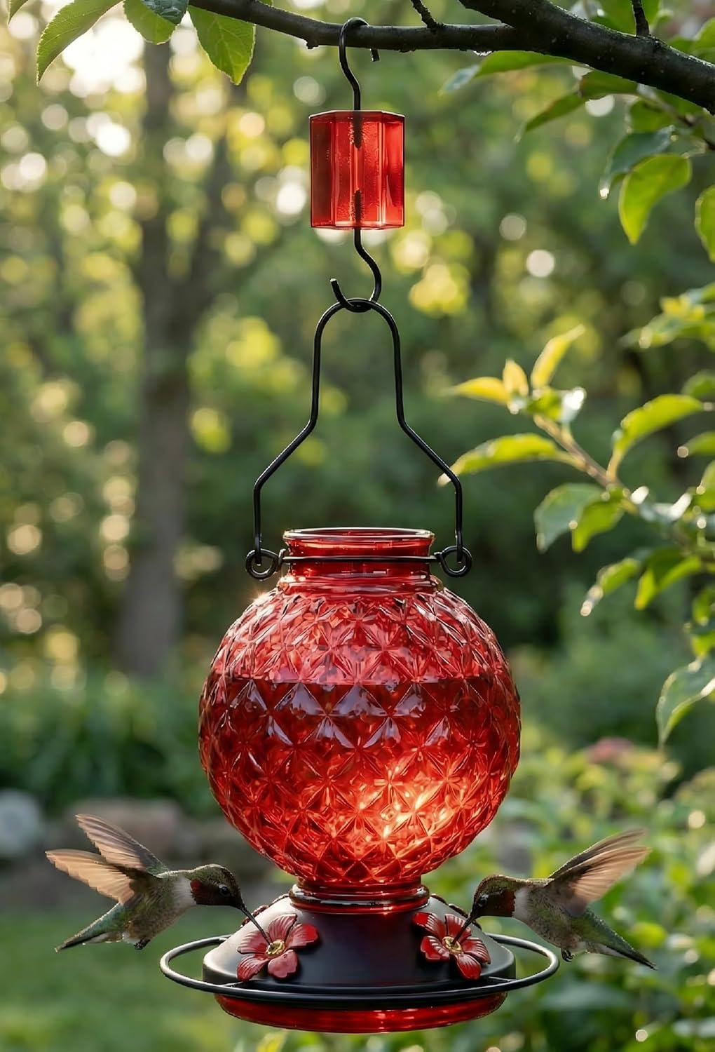 Glass Hummingbird Feeder for Outdoors Hanging, 25 OZ Humming Bird Nect