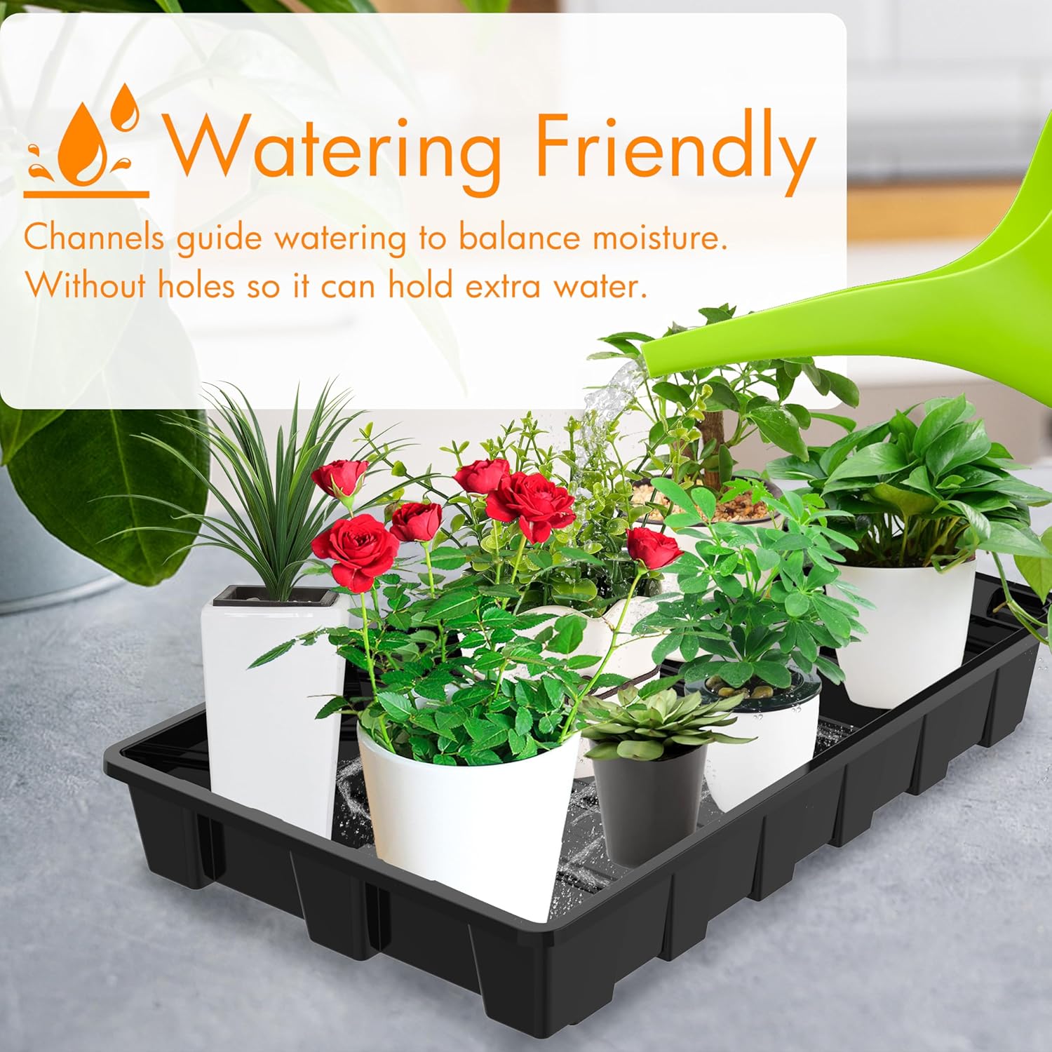 Gardzen 10 Pack Seed Trays, Reusable Plant Grow Trays, Ideal for Seed 