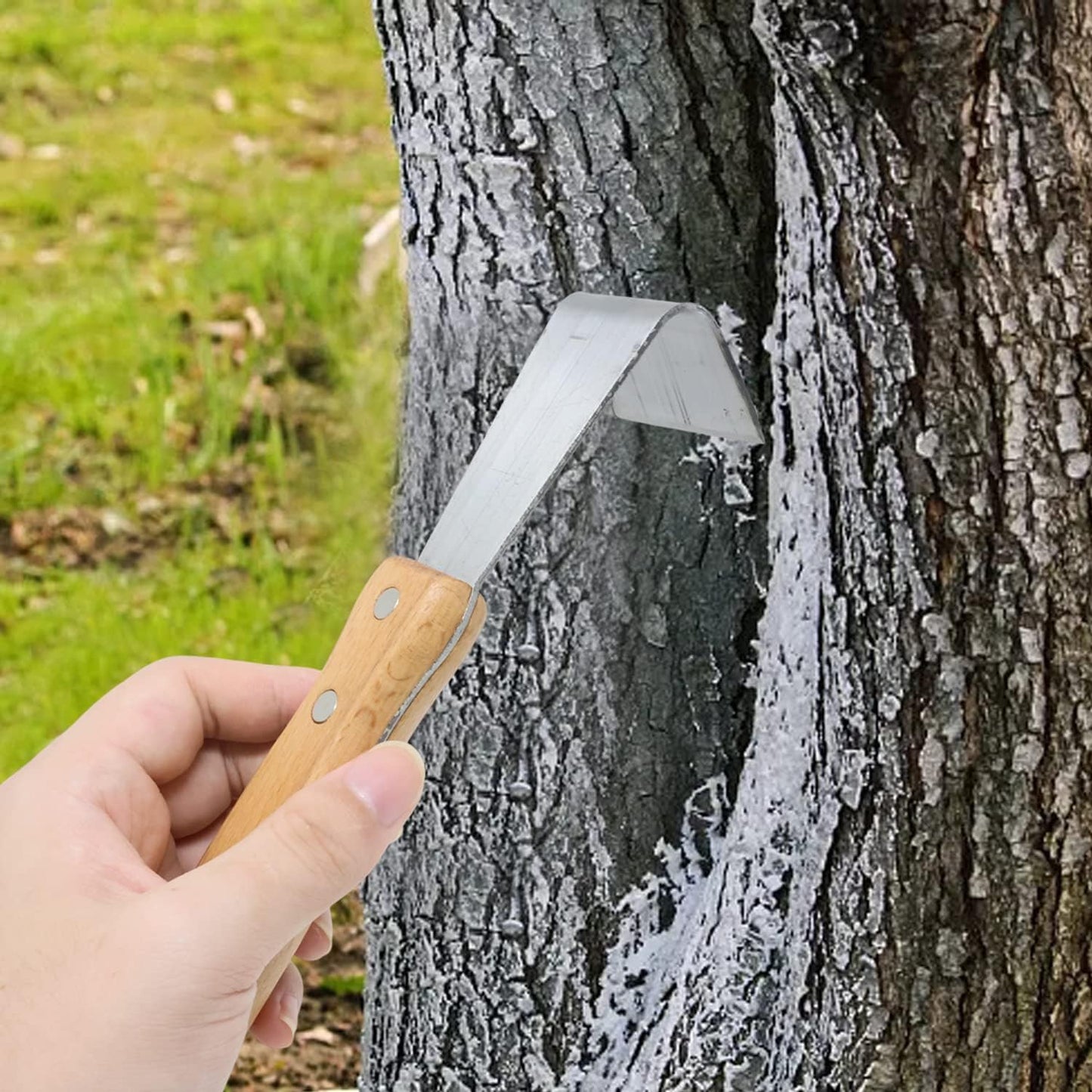 Honbay 1PCS Bark Removal Tool Log Peeler Tool Small Bark Stripping Tool with Wood Handle for Patio Lawn Yard Tree Debarking and Cutting