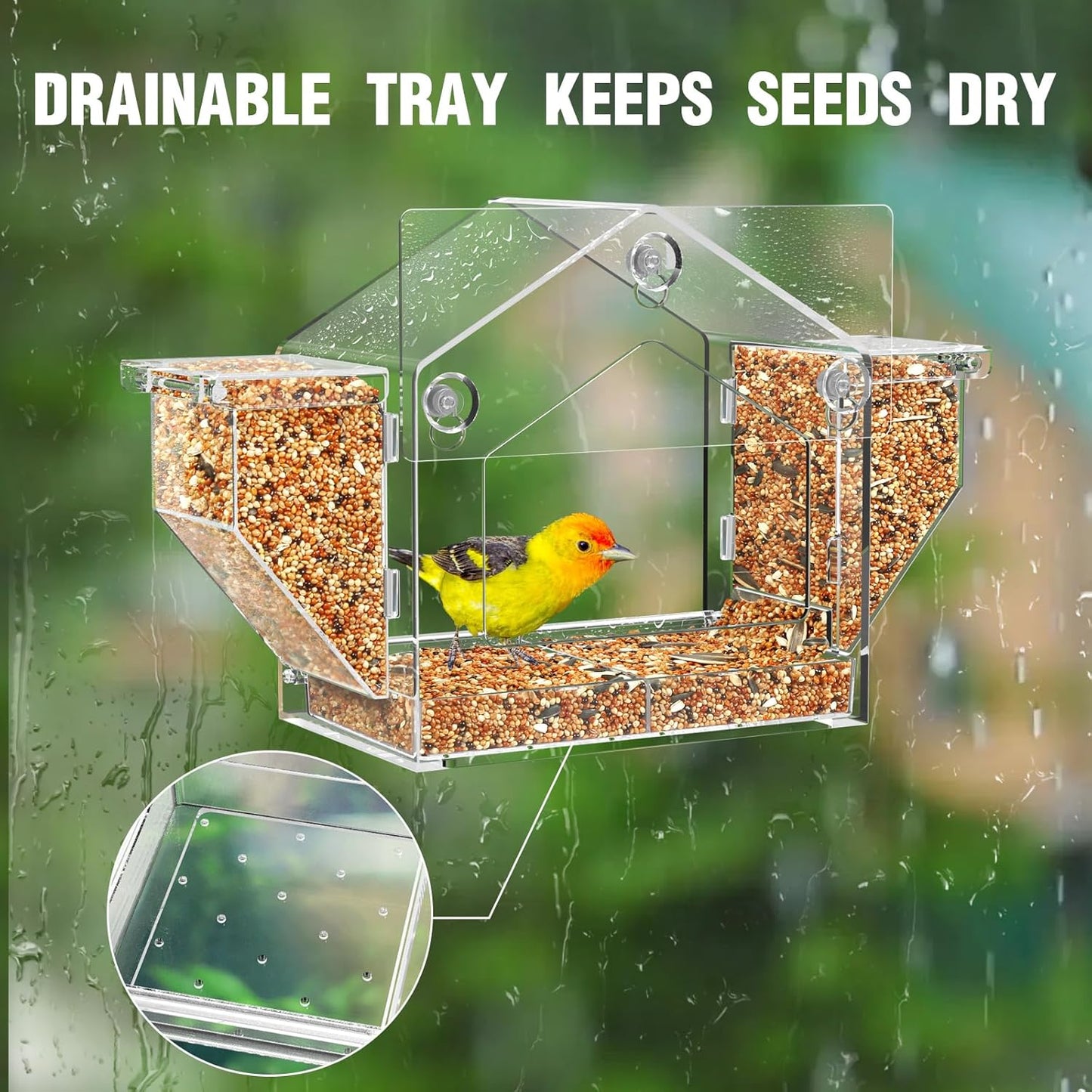 Upgraded Window Bird Feeder with Dual Side Hoppers – High Capacity Outside Birdfeeder for Window – Strong Suction Cups & Adhesive Options, Close-up Viewing for Indoor Cats & Seniors, Ideal Nature Gift