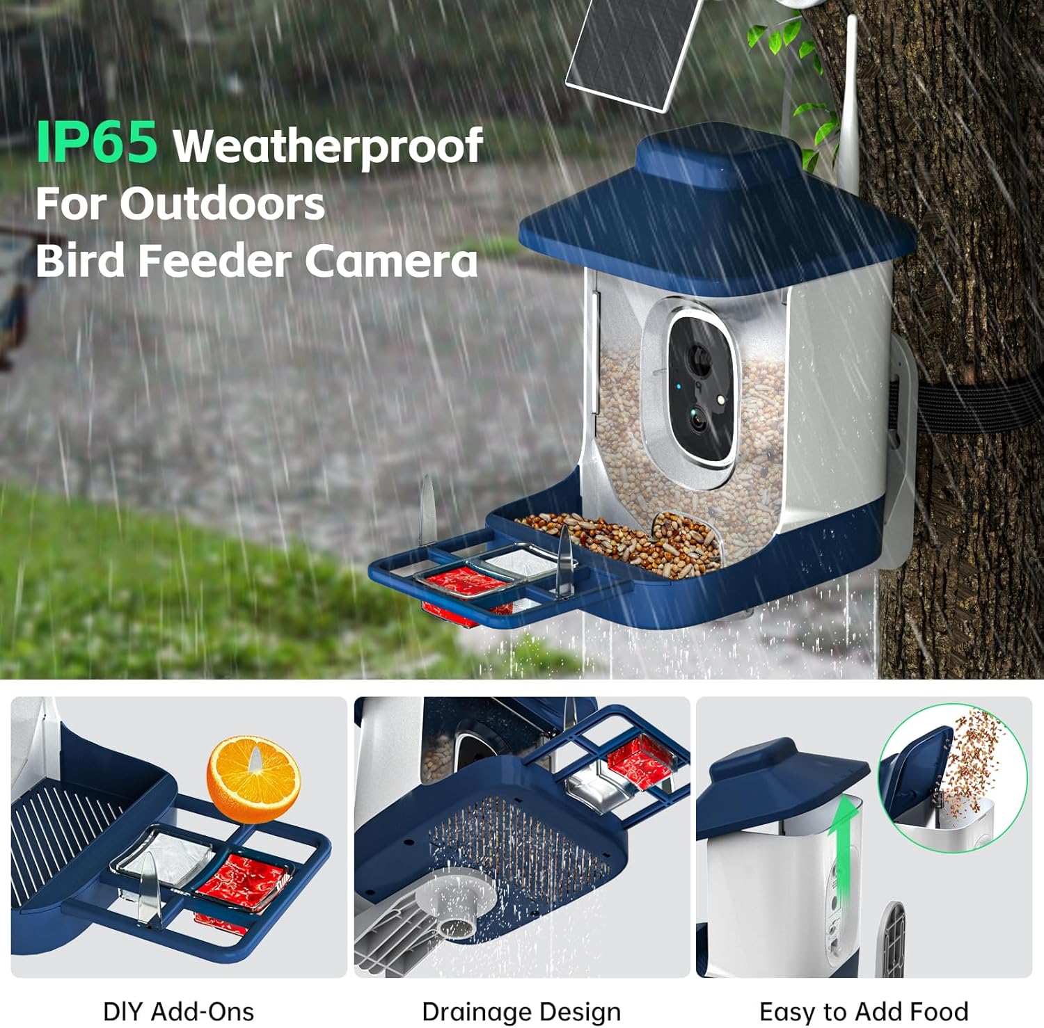 Bird Feeder with Camera, AI Bird Identification, Full HD Live Video, S