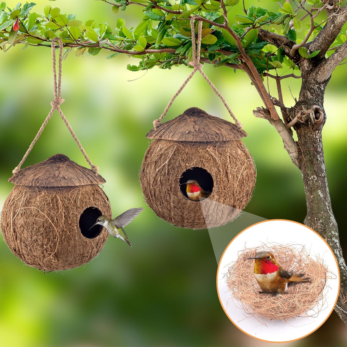 KATUMO Hummingbird Houses, Natural Coconut Bird Houses for Outside Hanging Hummingbird Swinging Nest, with Coconut Fiber Bedding for Nesting Window Garden Outdoor Home, 3Pcs