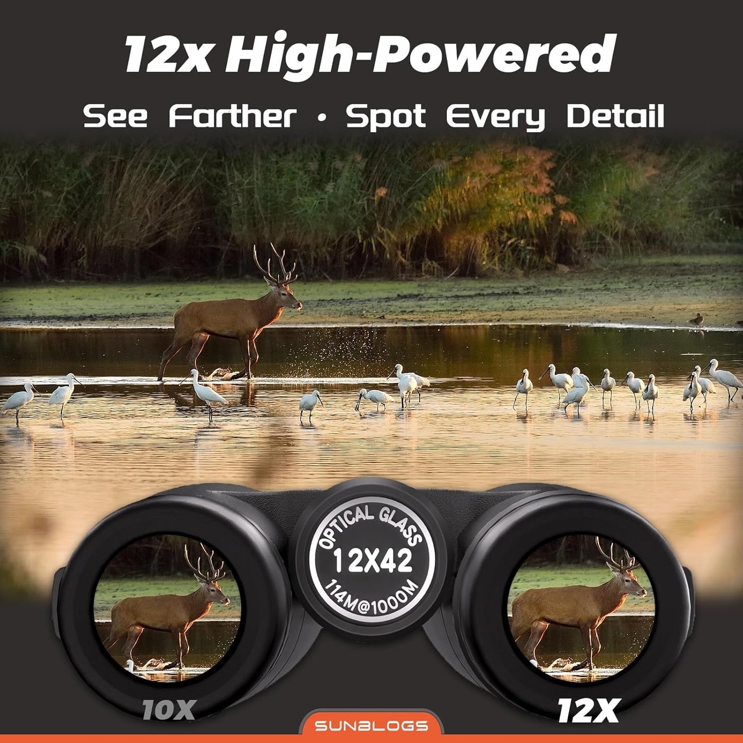 12x42 HD Binoculars for Adults,Super Bright BAK4 Prism High Powered Wa