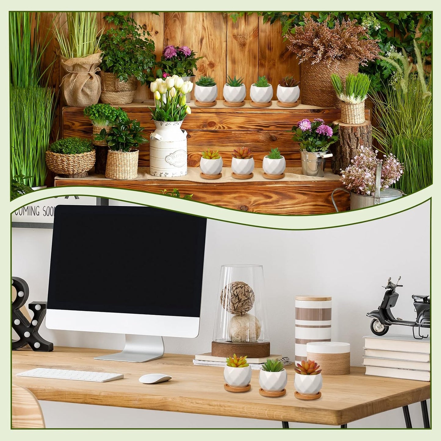 Gerrii 24 Pcs Succulent Pots Mini White Ceramic Flower Planter Pot Succulent Planters with Wooden Trays and Drainage Holes for Plants Cactus Home Office Decoration, Plants Not Included(Diamond)