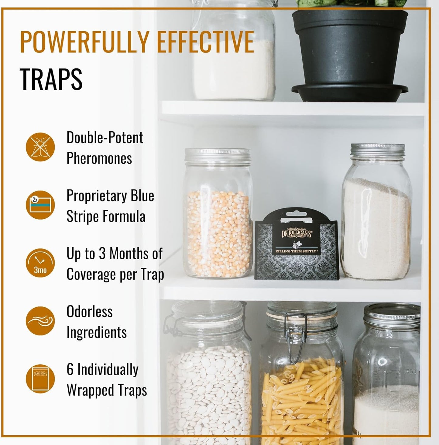 Dr. Killigan's Premium Double Potent Pantry Moth Traps with Pheromones