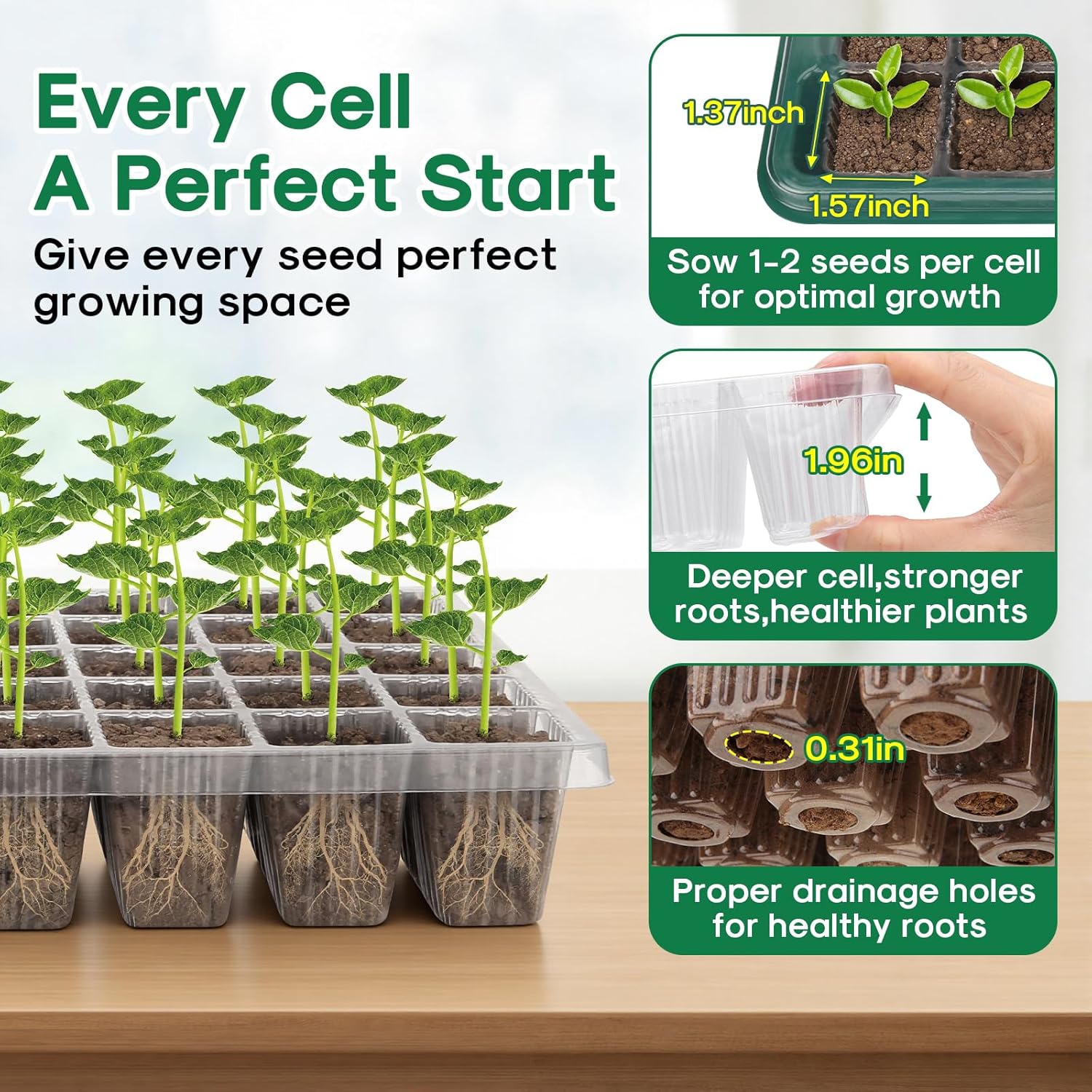 BlumWay Seed Starter Tray with Grow Light,2 Pack 80 Cells Seedling Tra