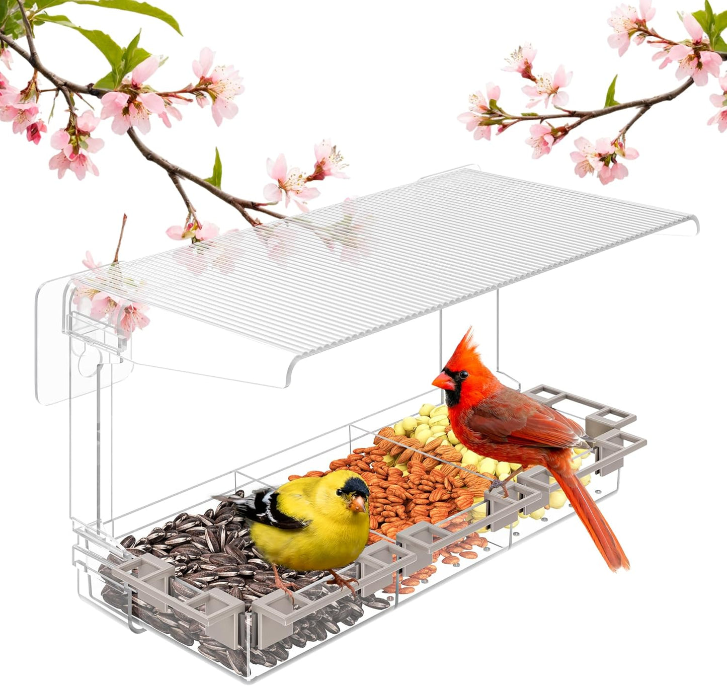 Clear Window Bird Feeder Outdoors - Bird Feeder for Viewing with 5 Perching Stands, Wavy roof, Self-Adhesive Hooks, Drain Holes and Removable Tray, as a Birdhouse, Garden Decor