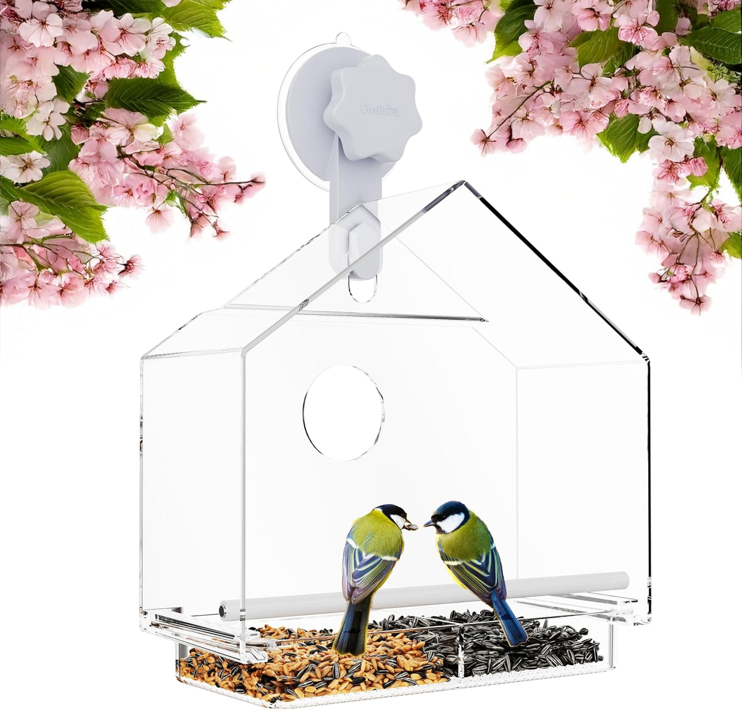 Window Bird Feeder with Ultra Strong Suction Cup - Large Clear Acrylic Weatherproof Birdhouse (Heavy Duty Suction Grip)