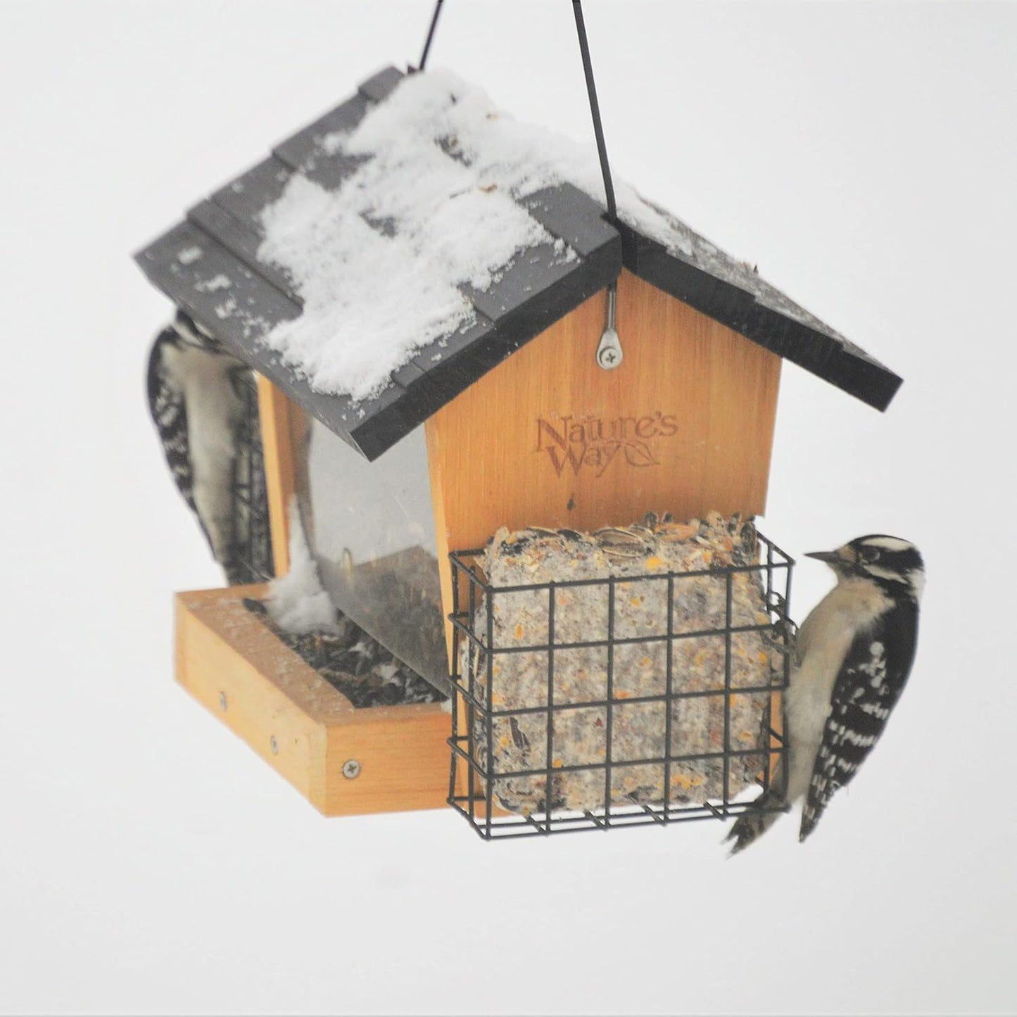 Nature's Way CWF28 Cedar Hopper Bird Feeder with Suet Cage, 8 x 12.5 x 8.5, Black