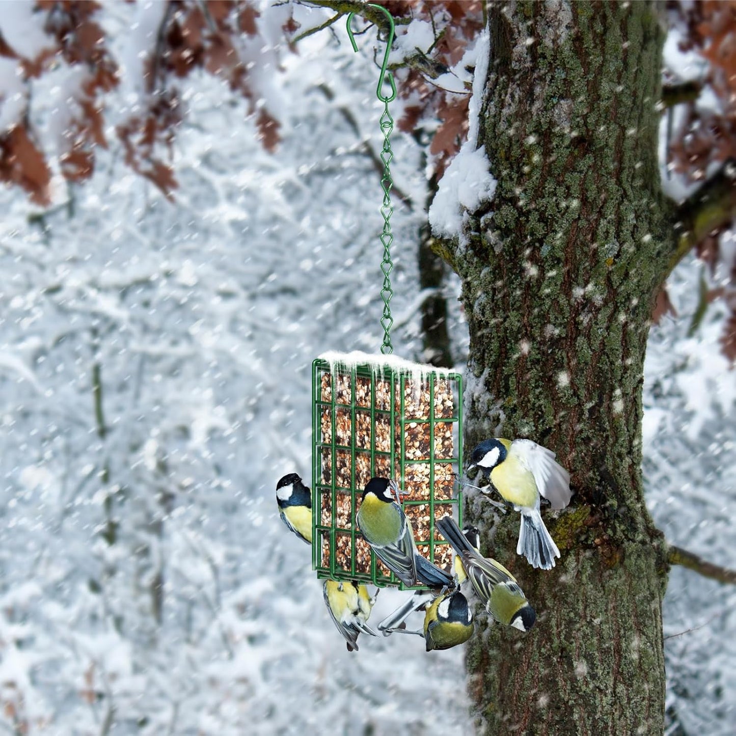 Bird Feeder for Outdoors, Suet Feeder Hanging Bird Feeder, Hanging for Garden Yard Outside - Single Suet Cake Feeders fo Attracting Birds