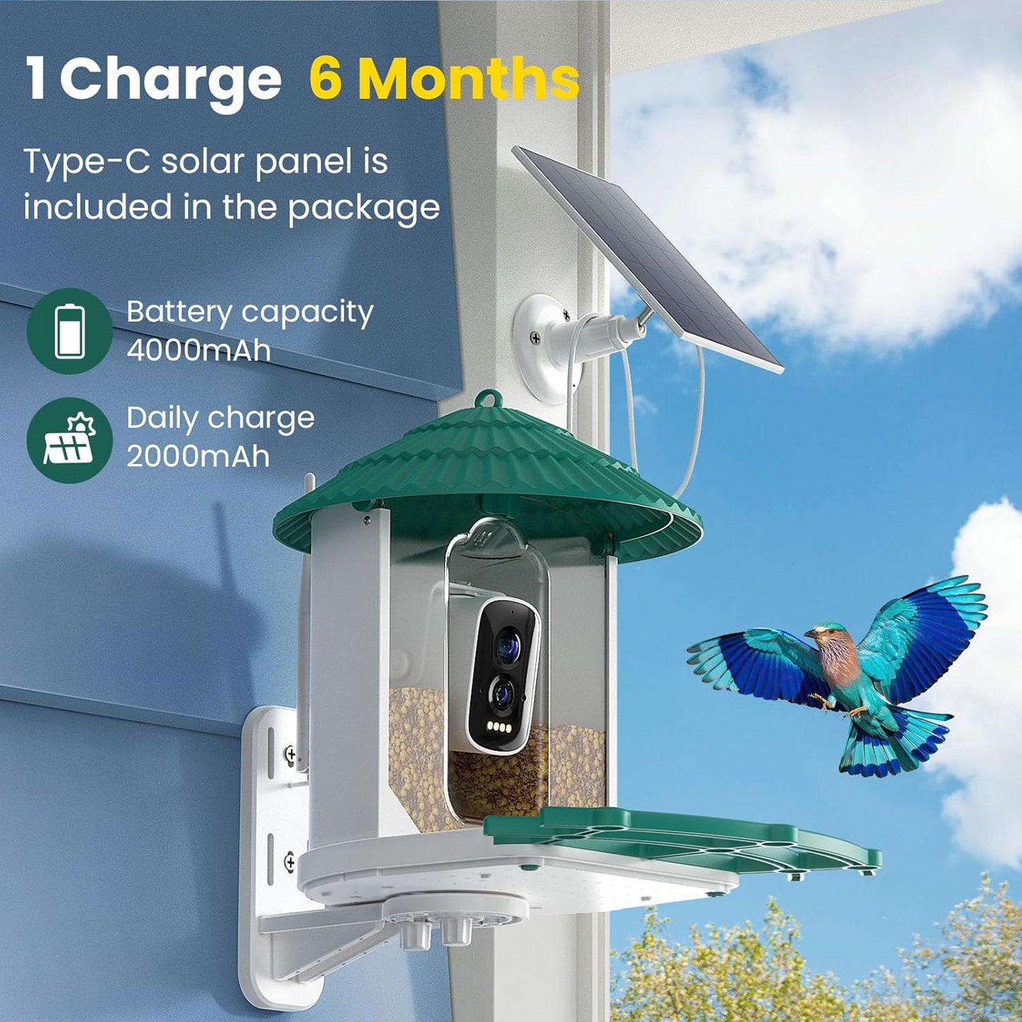Bird Feeder with Camera,Ai Recognition 10000+ Species,3K Video with Noise Reduction,Solar Powered Bird House for Outdoors Bird Watching