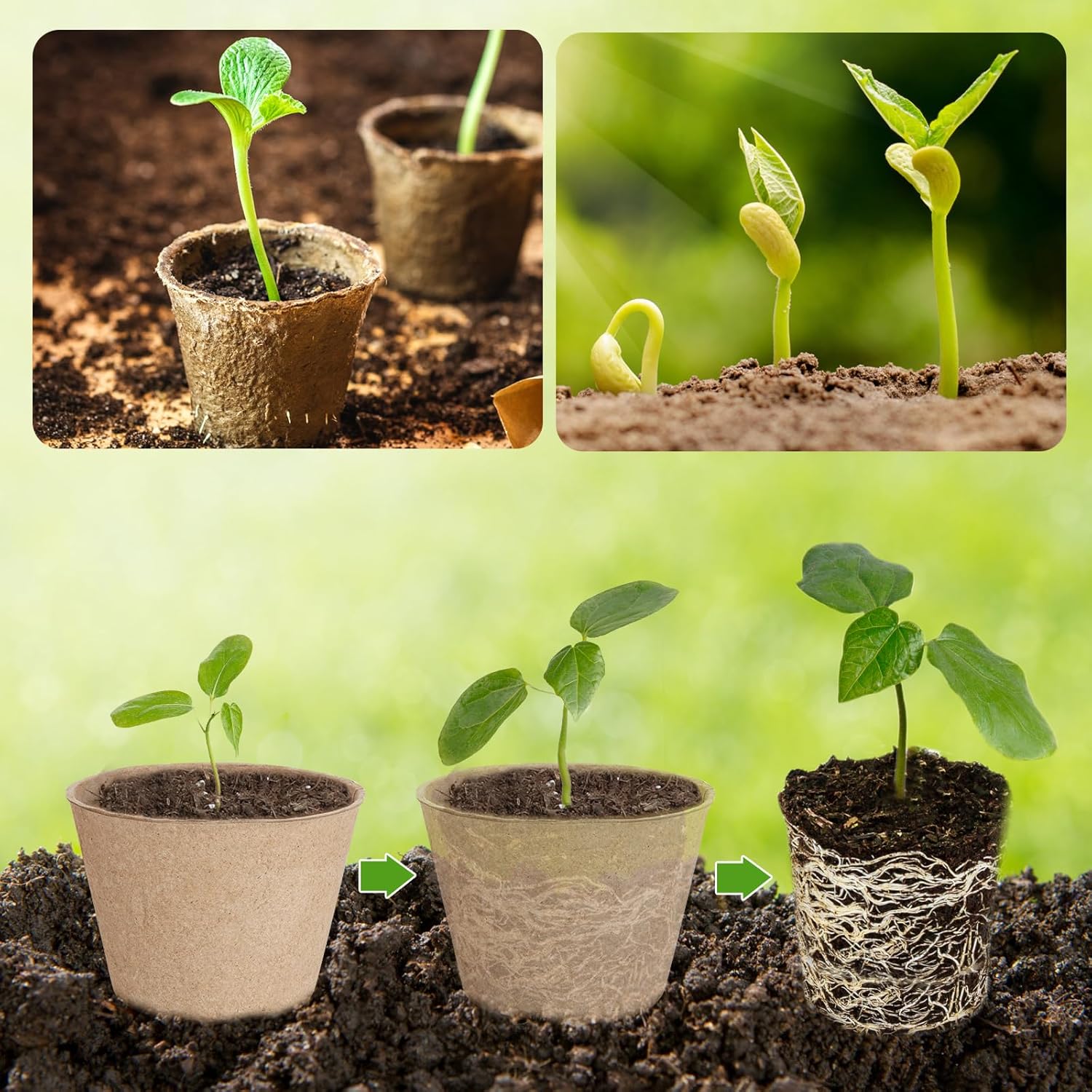132 Pack Organic Peat Pots, 4 Inch Nursery Pot, Round Plant Seedling P